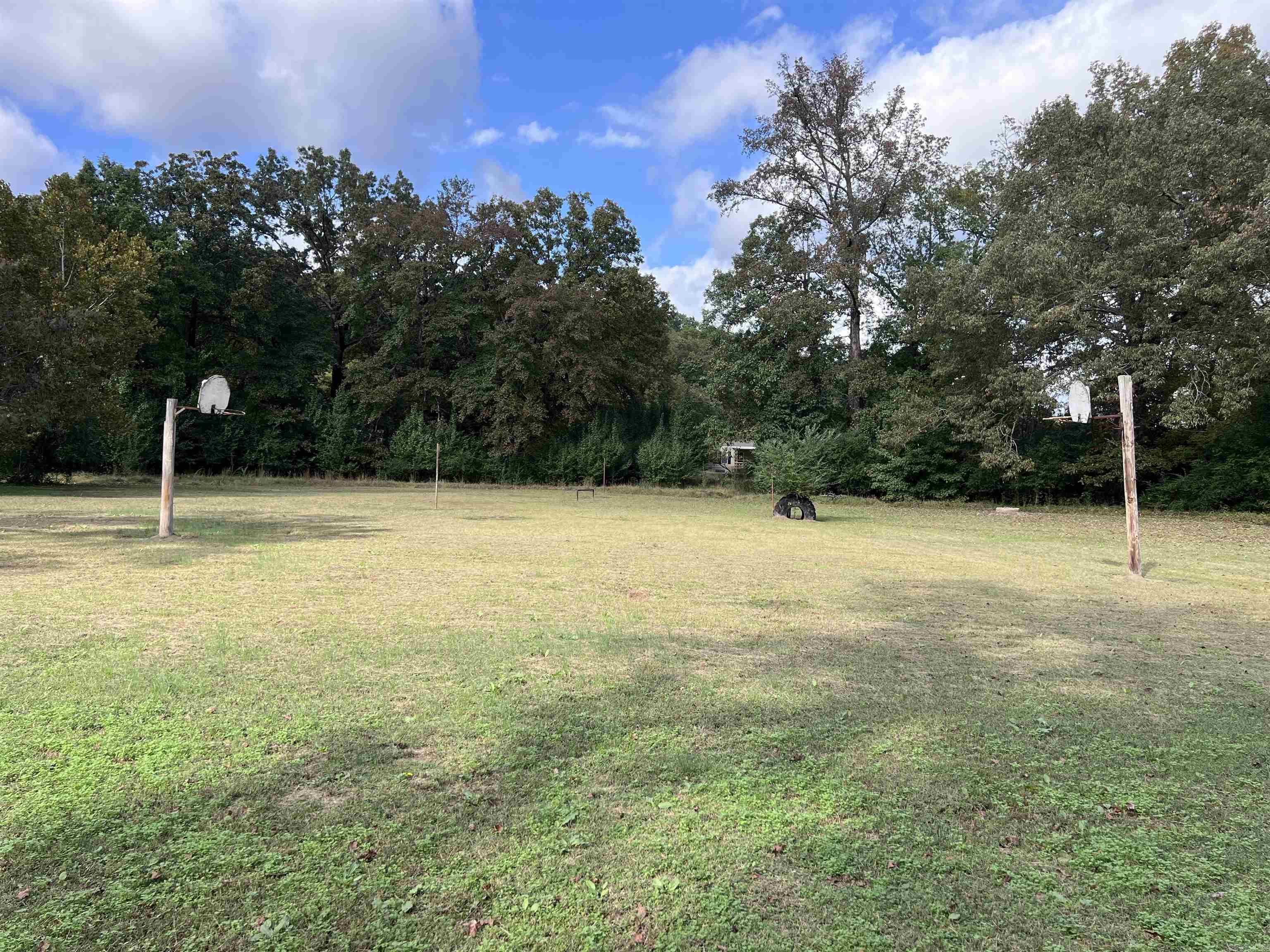 Mountain Pine - Land