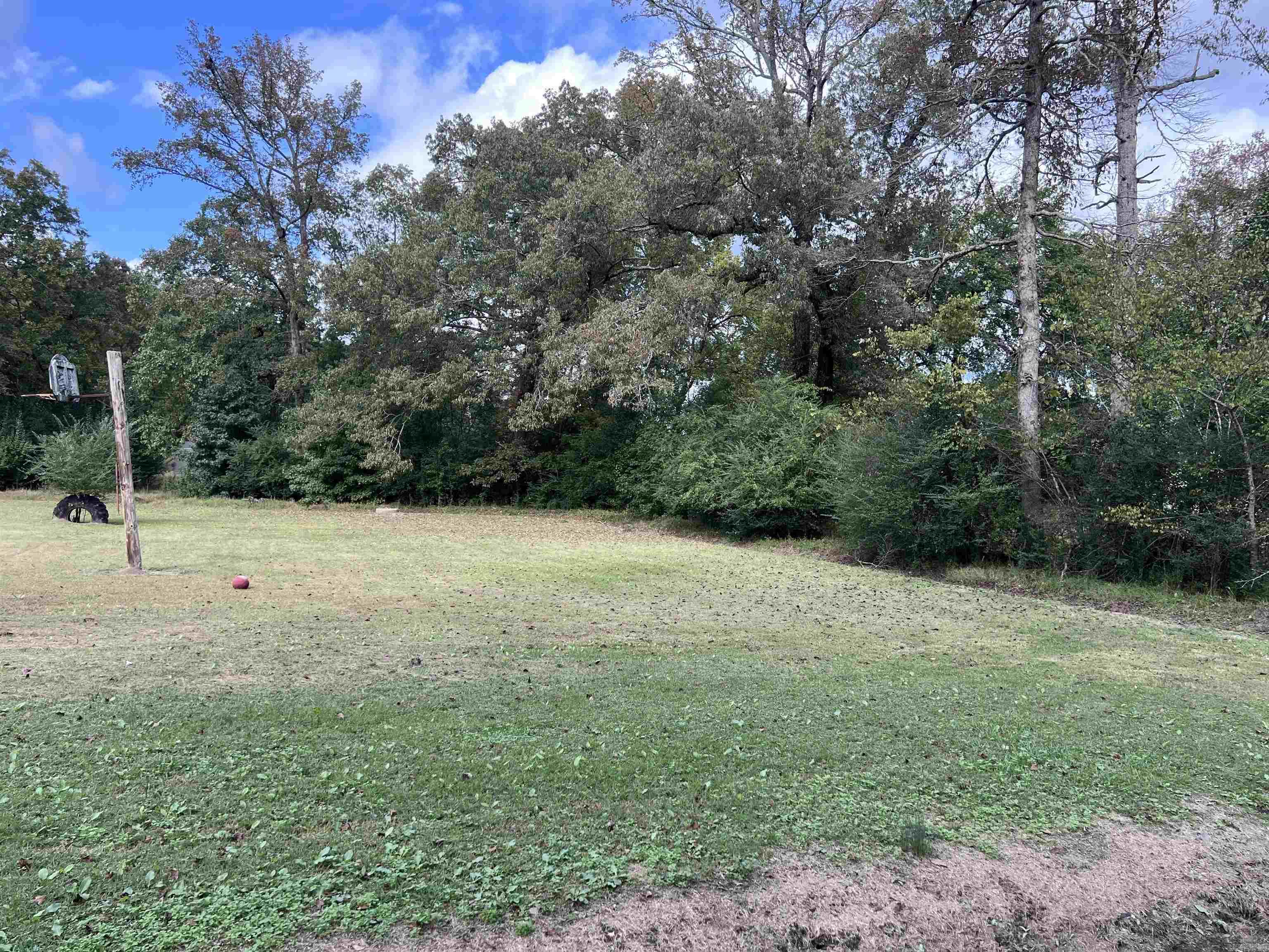 Mountain Pine - Land