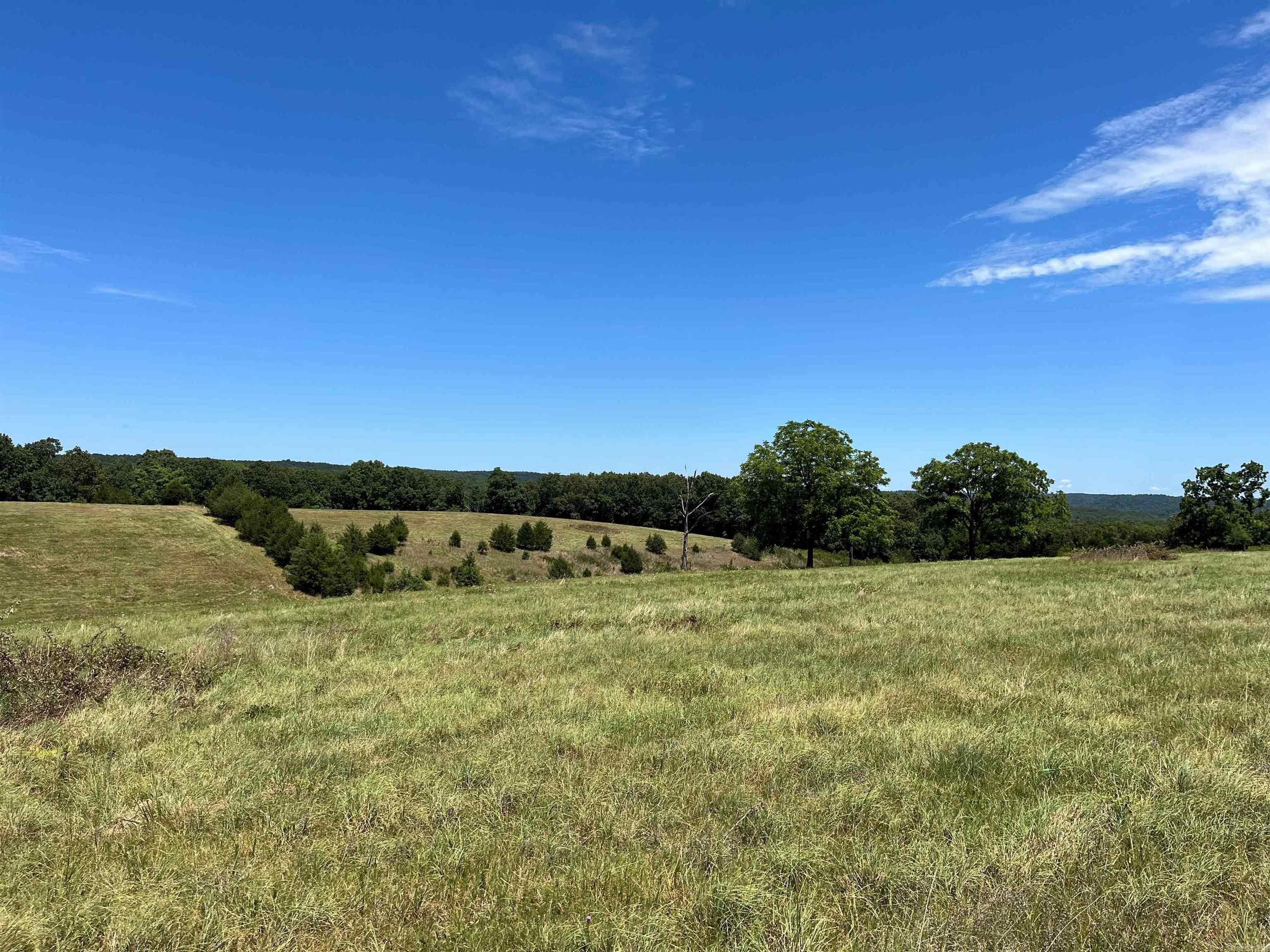 80+/- acres located near Fifty Six in Stone County, AR. Approximately 40 acres cleared and the remainder in woods. It has two ponds, some fencing and cross fencing and beautiful views. Owners have reported an abundance of wildlife such as deer, bear and turkey. Property can be used to run cattle, cut hay, hunting/recreational etc. The trend of being off grid seems to be growing and this would make a beautiful off the grid homestead. Numerous places to build a cabin and take advantage of the panoramic views. The National Forest is close and offers great hunting, horseback riding, hiking and bike riding. Trout fishing in the White River is minutes away. For more info give us a call!