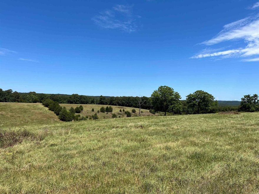 80+/- acres located near Fifty Six in Stone County, AR. Approximately 40 acres cleared and the remainder in woods. It has two ponds, some fencing and cross fencing and beautiful views. Owners have reported an abundance of wildlife such as deer, bear and turkey. Property can be used to run cattle, cut hay, hunting/recreational etc. The trend of being off grid seems to be growing and this would make a beautiful off the grid homestead. Numerous places to build a cabin and take advantage of the panoramic views. The National Forest is close and offers great hunting, horseback riding, hiking and bike riding. Trout fishing in the White River is minutes away. For more info give us a call!