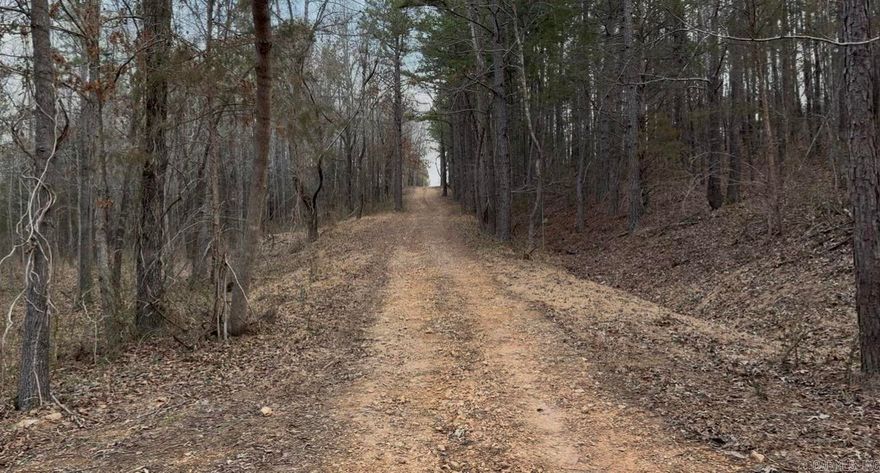 Rare opportunity to own 21.88 acres in one of Mountain View’s newer golf course subdivisions, located inside city limits. This beautiful tract offers incredible space and privacy —perfect for building a private estate. Surrounded by attractive homes and scenic views, this property combines the feel of country living with the convenience of being close to downtown, the golf course, and local attractions. This is a unique piece of property in a highly desirable area.