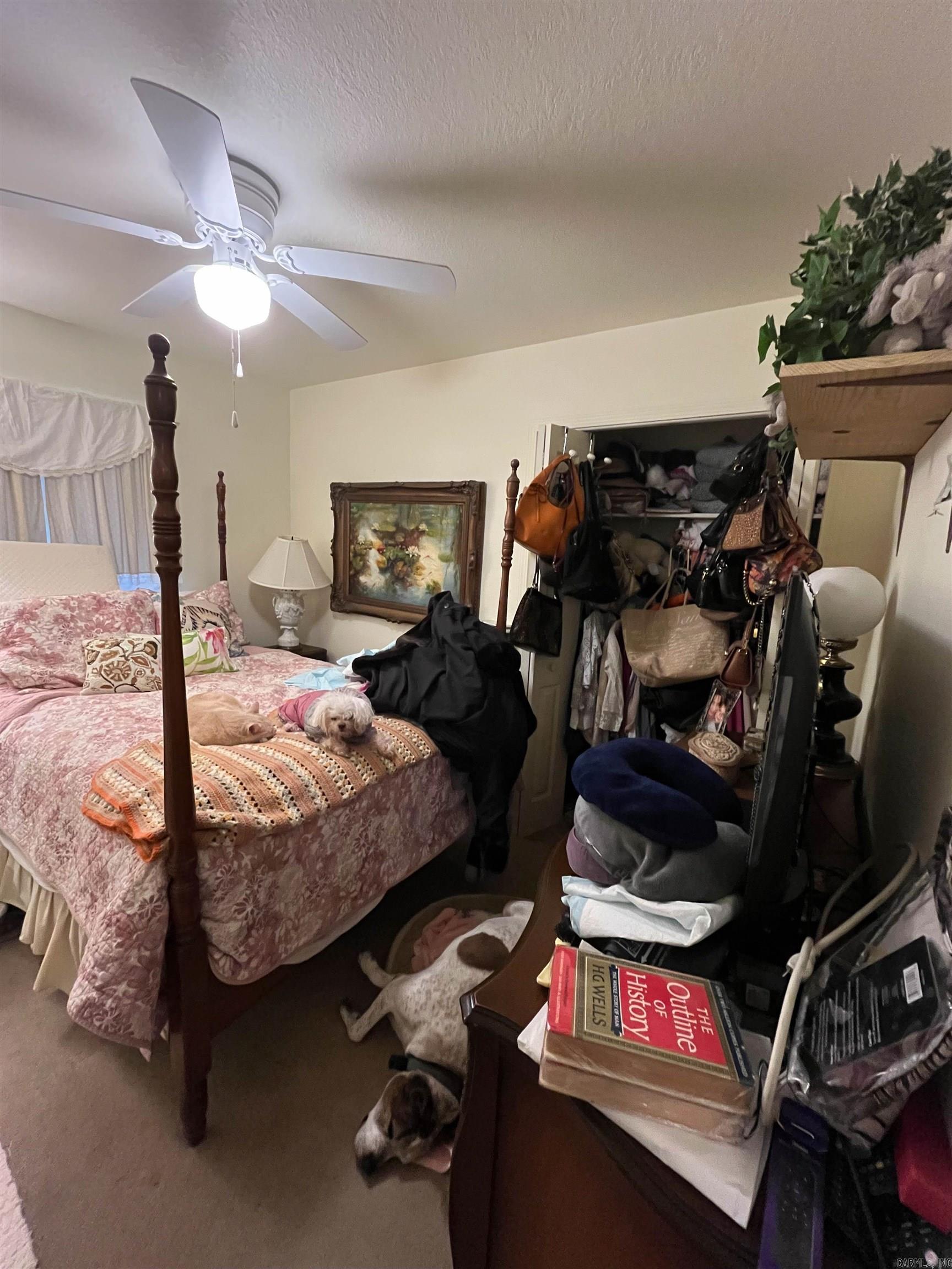 MAMMOTH SPRING ORIGINAL - Residential