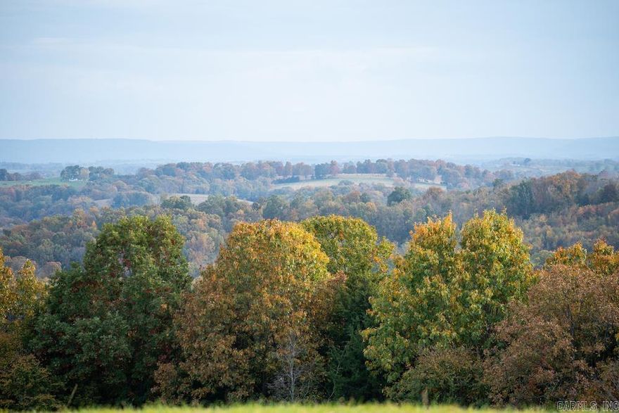 This high-quality wooded acreage is poised for a vacation home or your dream house destination. Bordering the paved county road, the access is easy and quick. The topography lays out wonderfully, and the level and usable high spot would offer excellent scenery to the East. Just imagine sitting on your deck and watching the sunrise bounce across the landscape. Just a few minutes down the paved county road, there is access to a public boat launch near Cricket Creek Marina, Long Creek Marina, and Big Cedar Lodge. The resident wildlife crosses frequently and invites you to be a part of the rich nature of this special region. Blue Eye, MO, is just minutes up the road from where you can get access to all the amenities you need. There are no restrictions, and electricity is available along the road. The area is prime for investments and developments alike, with the renowned Table Rock Lake right down the road, a quick drive from the famous Branson, MO, and many other remarkable area attractions. This region is known for its tourist attractions and recreational destinations that fit anyone. There are no restrictions, and additional adjoining land is available.
