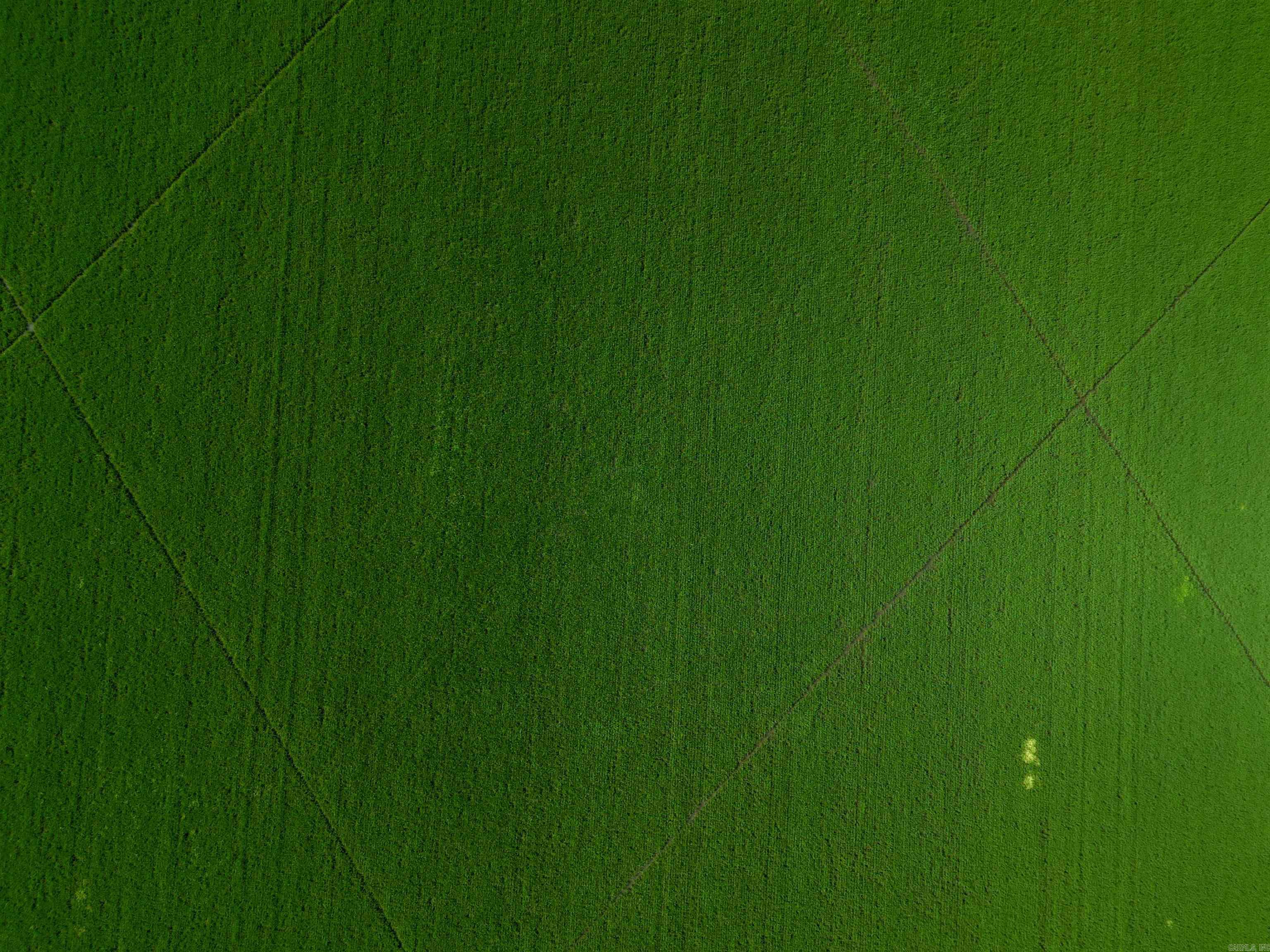 Metes & Bounds - Farm