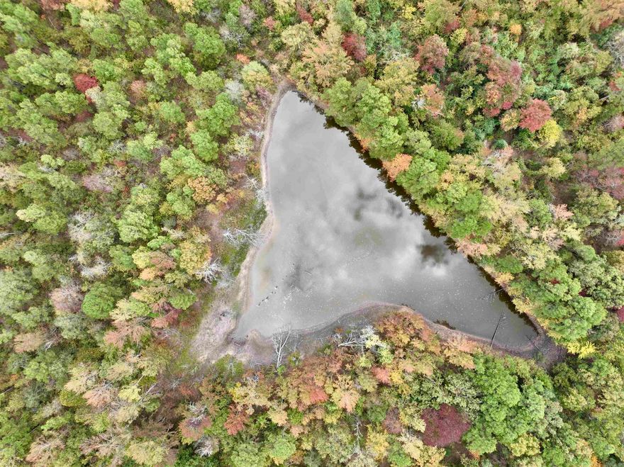 Nestled within the pristine beauty of the Ozark National Forest, this property is a spectacular hunting and recreational retreat that offers a unique opportunity for those seeking a private and secluded haven in the heart of nature. With a gated entrance and the National Forest surrounding it on three sides, this location ensures unparalleled exclusivity and access to some of the most breathtaking wilderness Arkansas has to offer. The property boasts an internal road system that makes traversing the land a breeze. Accessible electricity adds a touch of modern convenience to your rustic getaway. Whether you're a hunter or outdoor enthusiast, this land is a dream come true. The mobile home, shed, and converted buses on-site can comfortably accommodate multiple hunters, making it a perfect deer camp or hunting retreat. The property features a water well and numerous ponds, ensuring a reliable water source for both wildlife and recreational activities. Abundant hardwood timber and pine trees cover the landscape, creating a diverse and thriving ecosystem. This diverse terrain provides endless hunting opportunities, with deer, turkey, bear, and wild hogs.