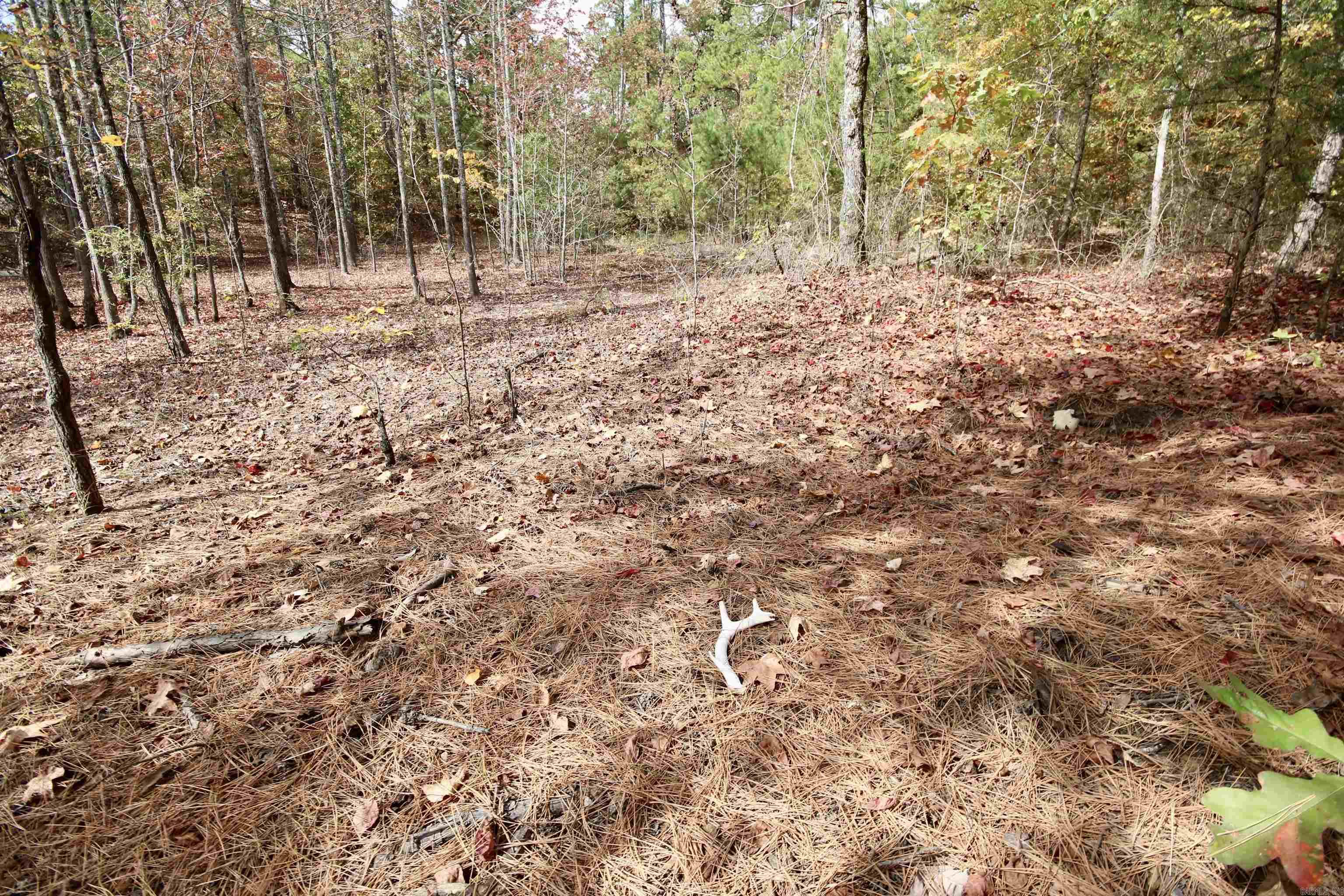 Not in Subdivision - Land