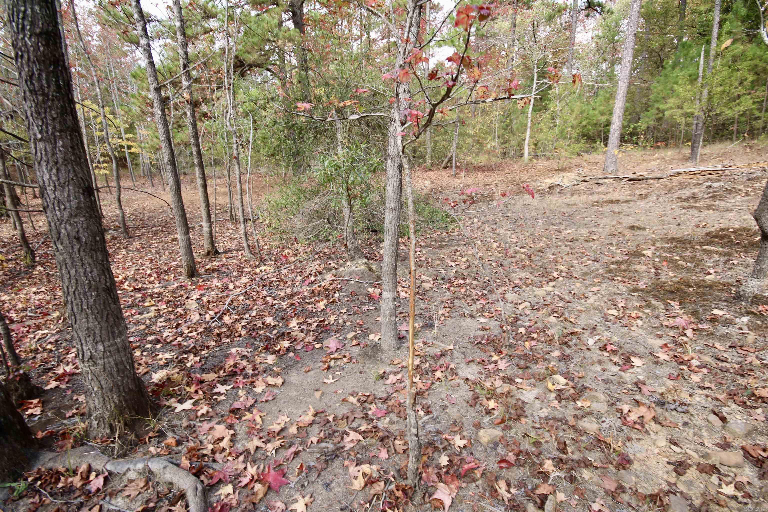 Not in Subdivision - Land