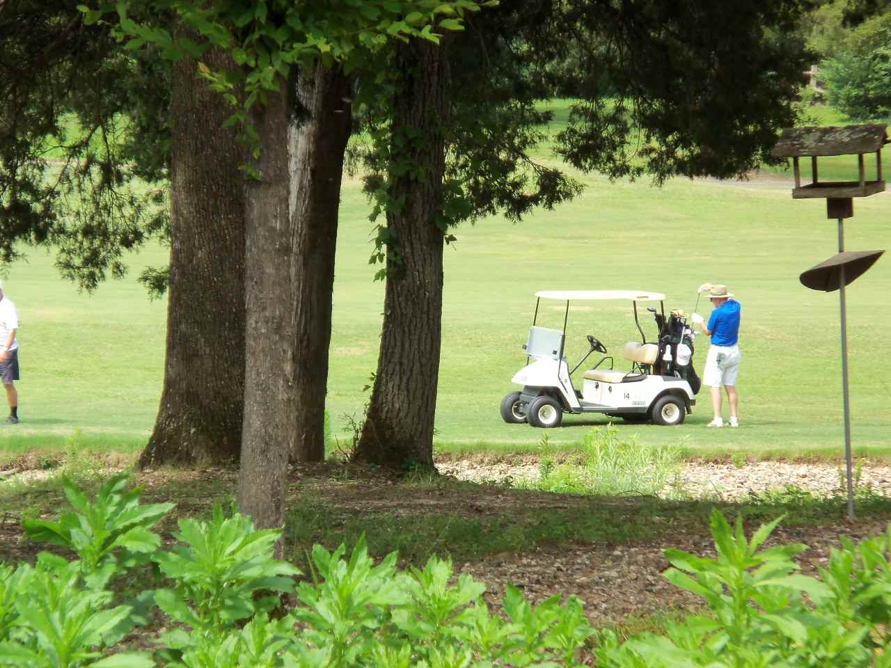 Fastota - Residential