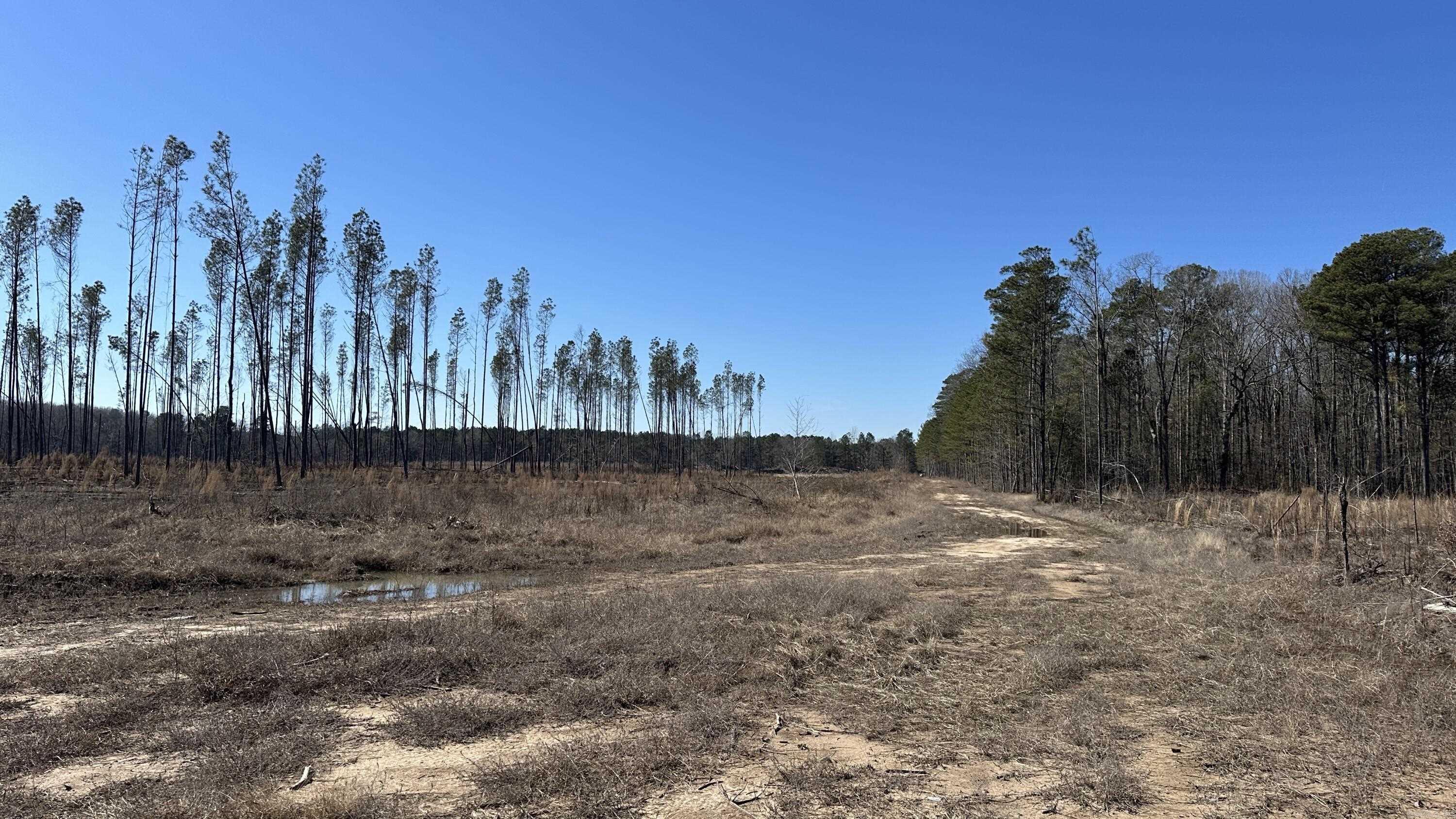 Metes & Bounds - Land