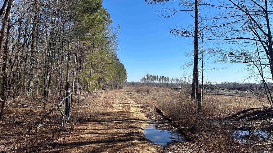 Price Impovement - Bayou Bartholomew Cutover. This 580 acre +/- recent clear cut timber tract is located in Jefferson County, AR just west of White Hall & Pine Bluff. With frontage on both Princeton Pike (southern access) and Curley Dr. (western access), the property has great access depending what part of the property you intend on using for that day. With the timber harvest (2022), there's miles of logging roads and trails littered throughout the property...whether you decide to use them to navigate from A to B, or use them for a shooting lanes. While on the property, I came across tons of deer and turkey tracks. As seen in the aerial photos, both timber along the banks of Bayou Bartholomew as well as some scattered young pine still stands on the property. Plenty of roost turkey trees! This one is a great hunting tract that will only improve as the natural regeneration continues to grow back up. One could look at it as a blank canvas for manipulation (roads, food plots, etc.) during the early stages, or decide to plant it back in pine plantation.