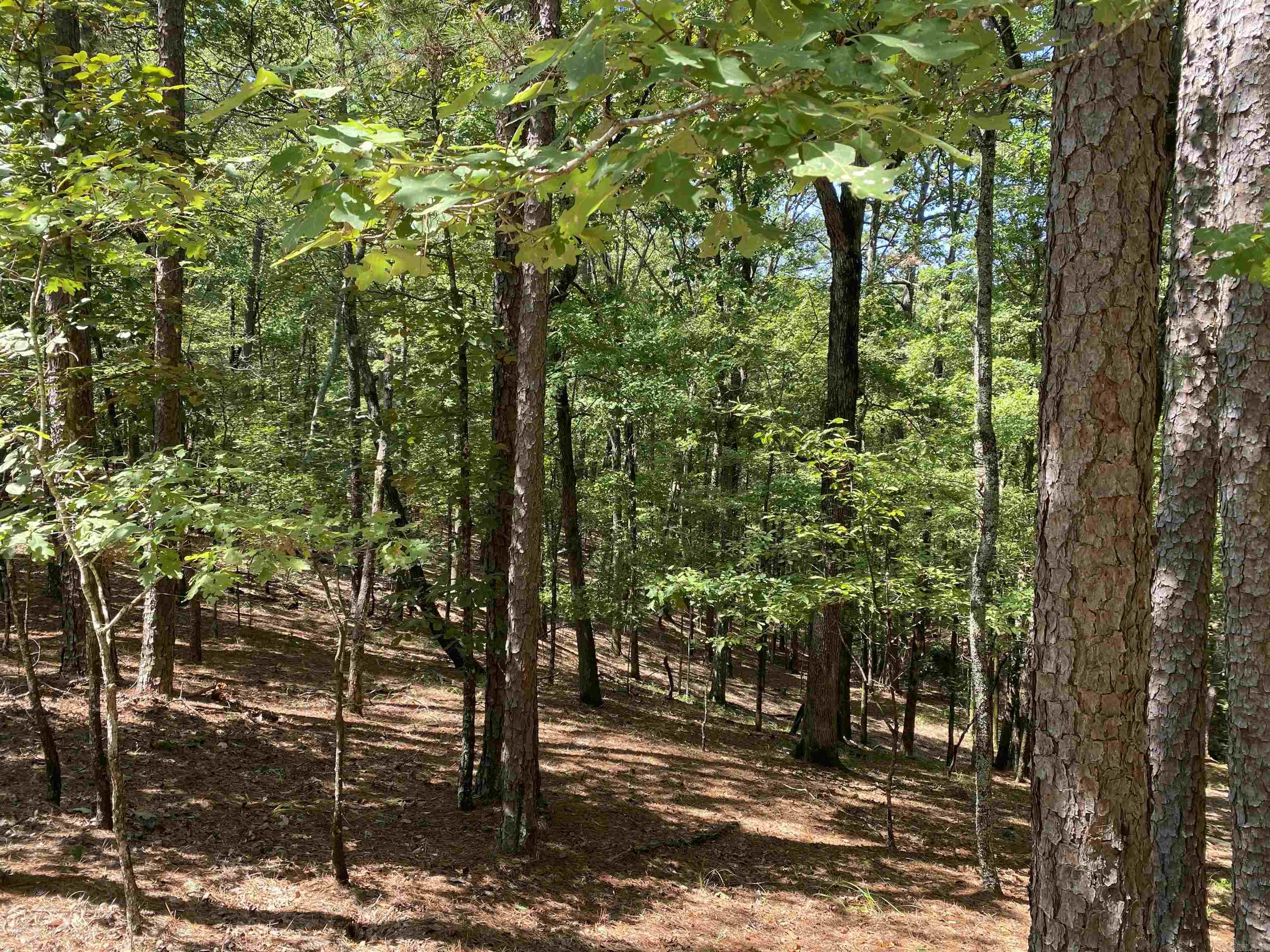 Hickory Nut Mountain Estates - Land