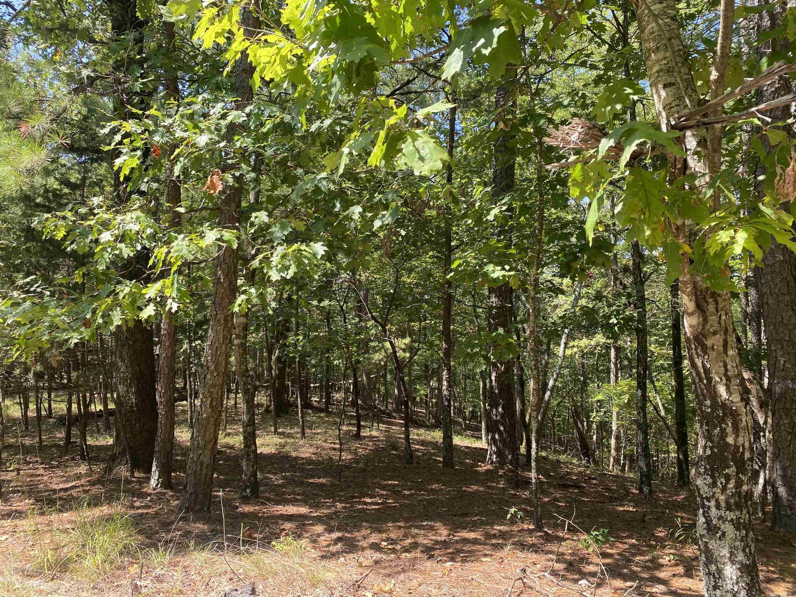 Hickory Nut Mountain Estates - Land
