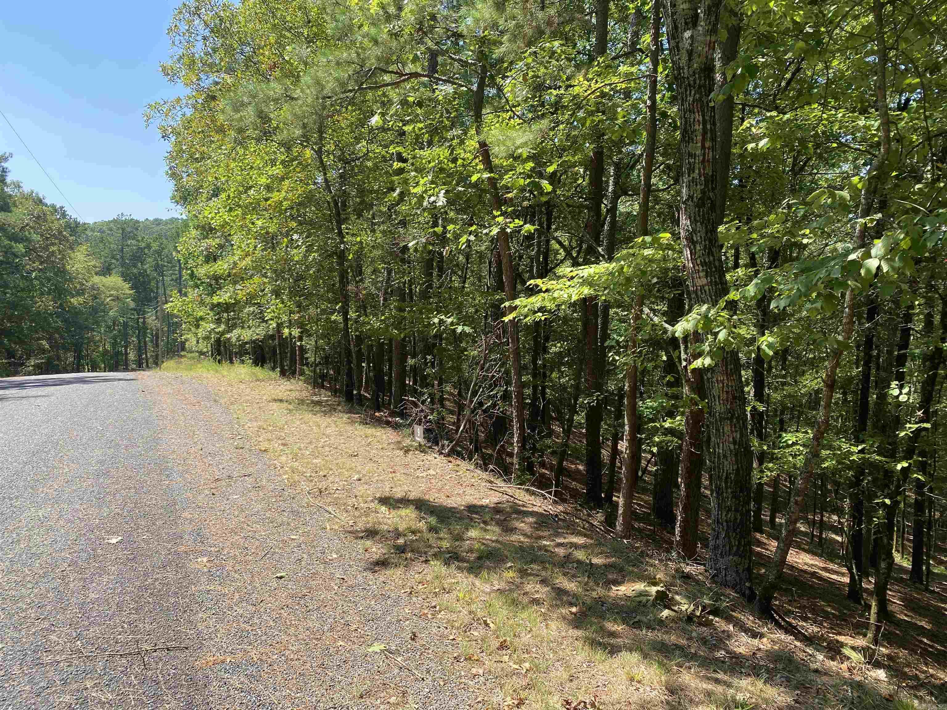 Hickory Nut Mountain Estates - Land