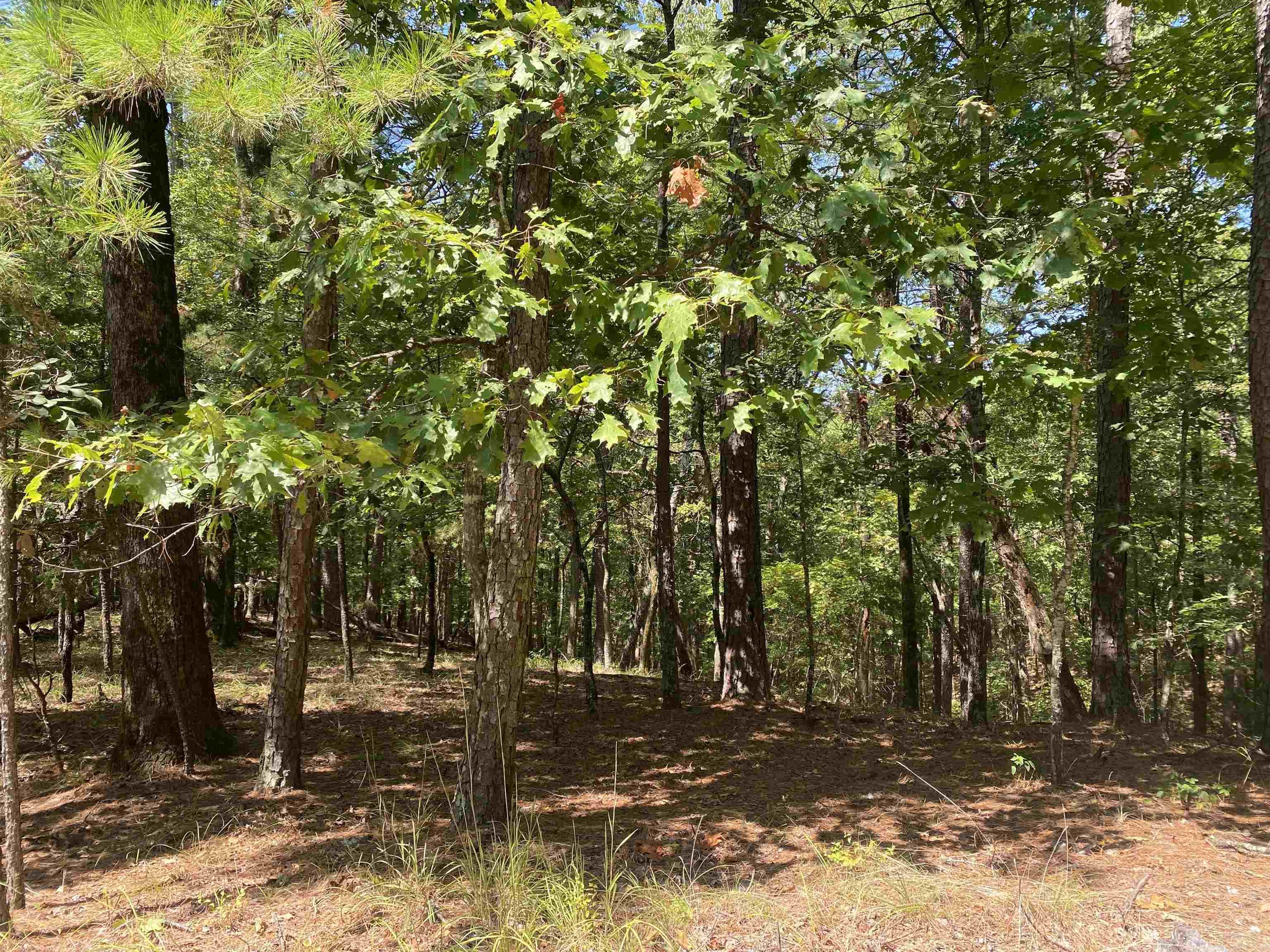 Hickory Nut Mountain Estates - Land