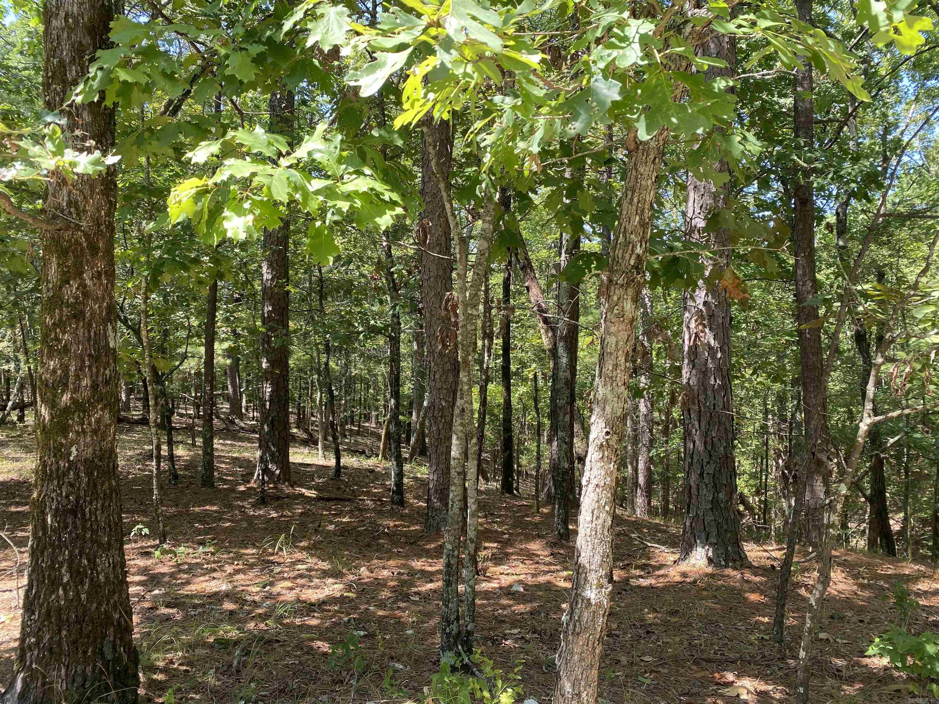 Hickory Nut Mountain Estates - Land