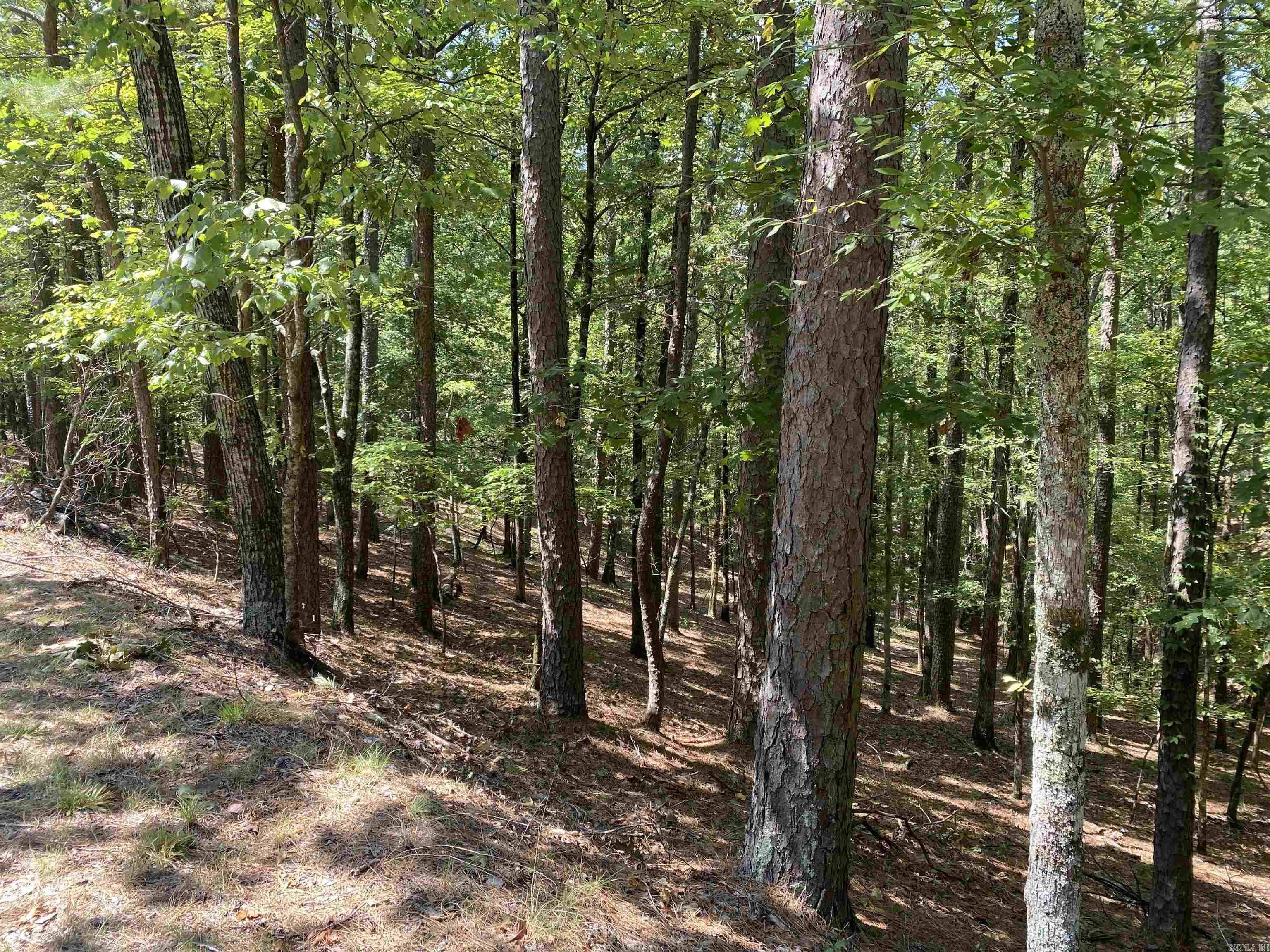 Hickory Nut Mountain Estates - Land
