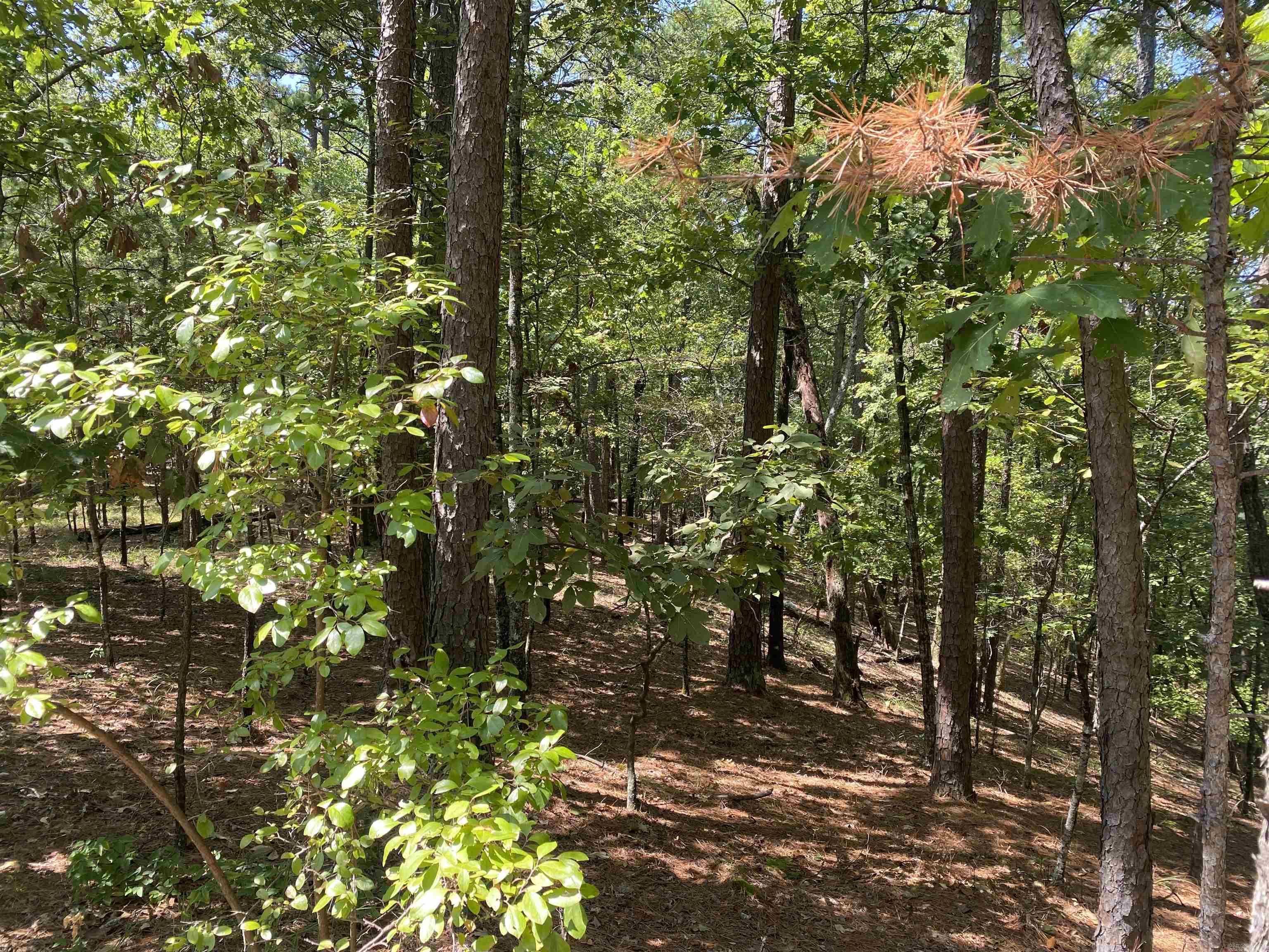 Hickory Nut Mountain Estates - Land