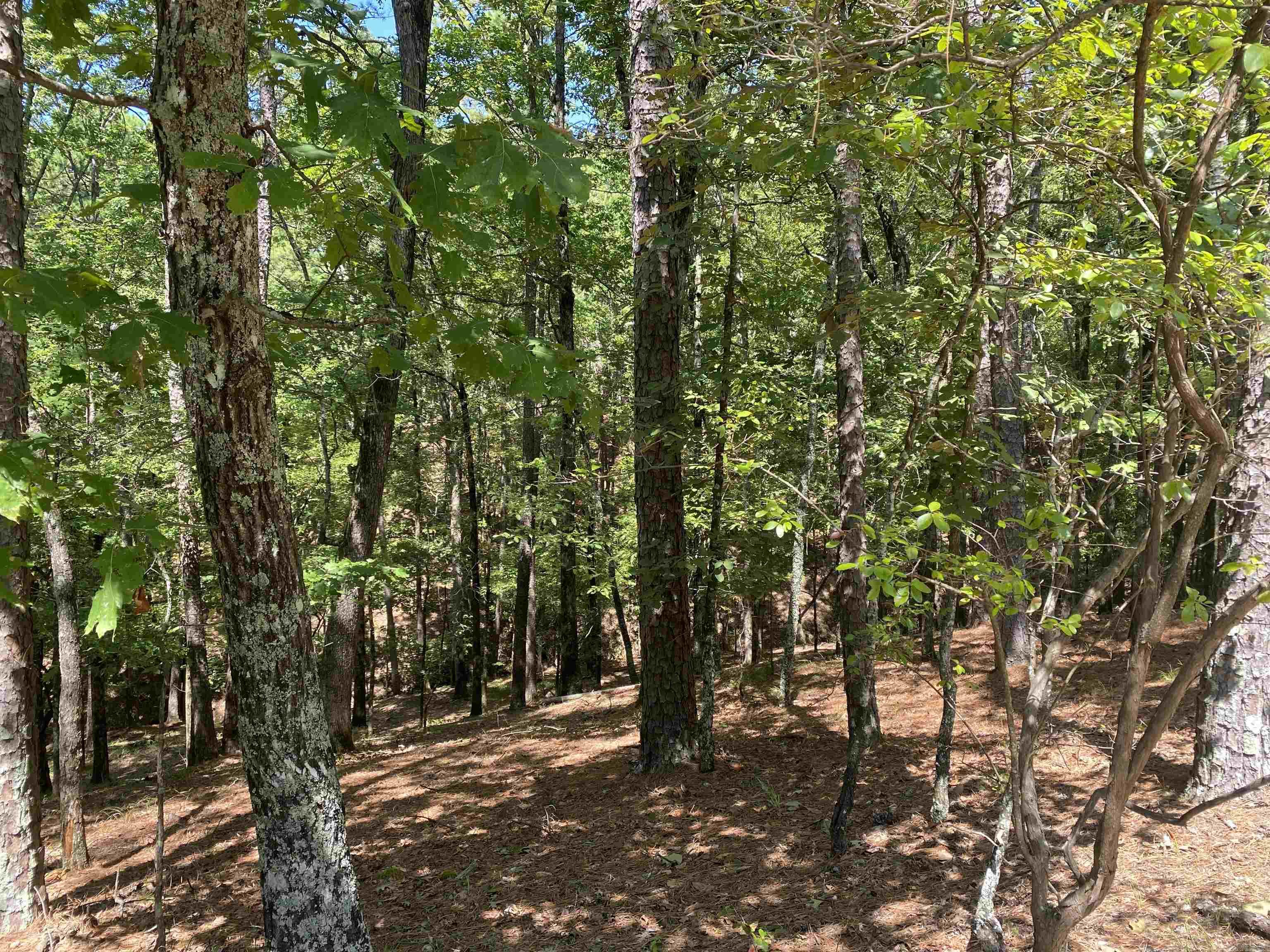 Hickory Nut Mountain Estates - Land