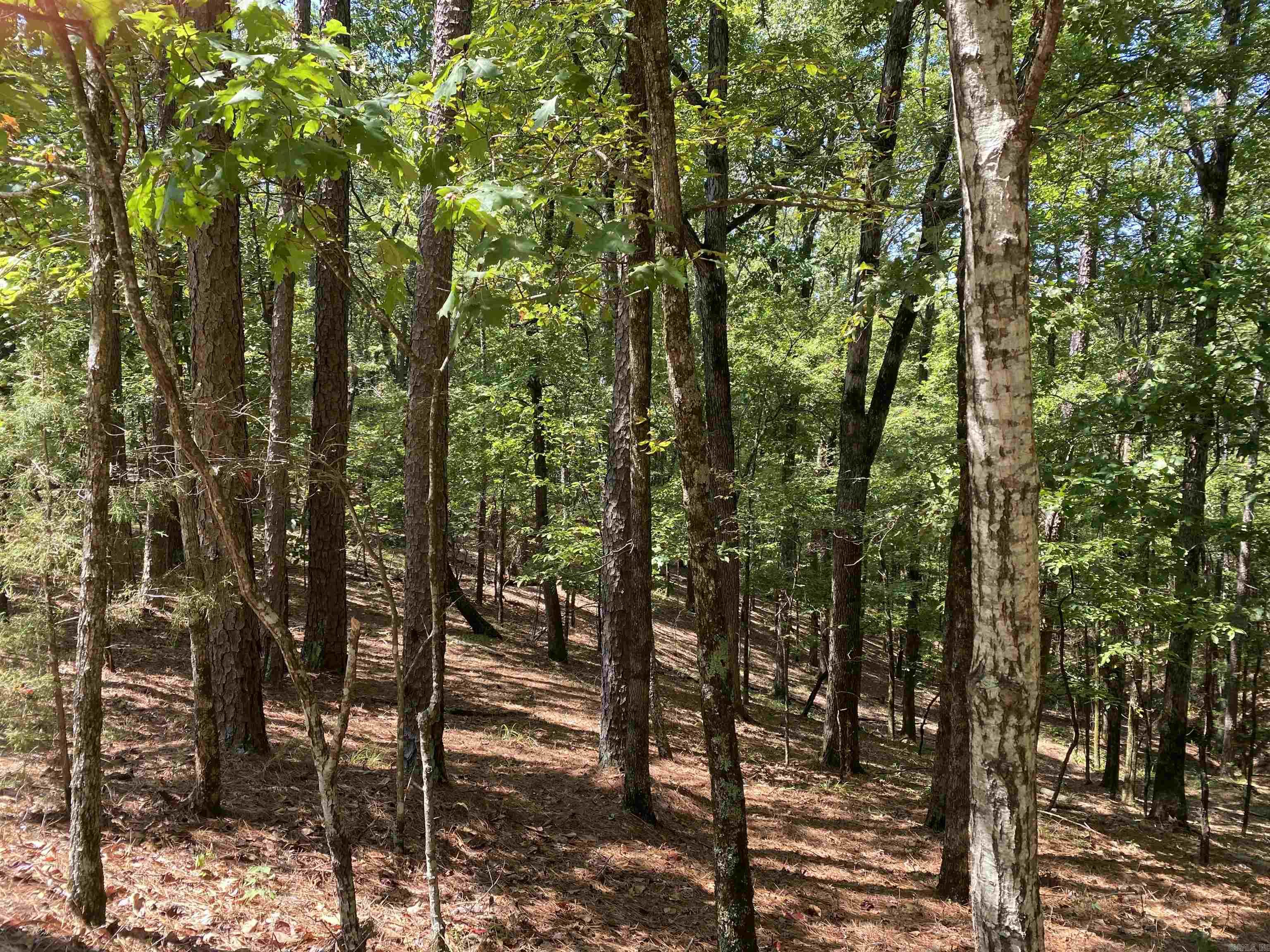 3.08 acres m/l on the quiet street of Hillside Trail in Harbor South at Mountain Harbor Resort. If privacy is what you crave for your lake place or cabin in the woods don't wait to see this vacant home lot. You will be surrounded by old forest growth & will be watching the wildlife from your very own deck. Survey recently completed and property lines are marked. Located minutes from the Harbor marina, lodge & Harbor South Park. Don't wait, call today!