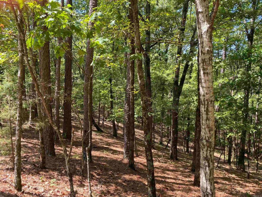 3.08 acres m/l on the quiet street of Hillside Trail in Harbor South at Mountain Harbor Resort.   If privacy is what you crave for your lake place or cabin in the woods don't wait to see this vacant home lot.  You will be surrounded by old forest growth & will be watching the wildlife from your very own deck.  Survey recently completed and property lines are marked.  Located minutes from the Harbor marina, lodge & Harbor South Park.  Don't wait, call today!