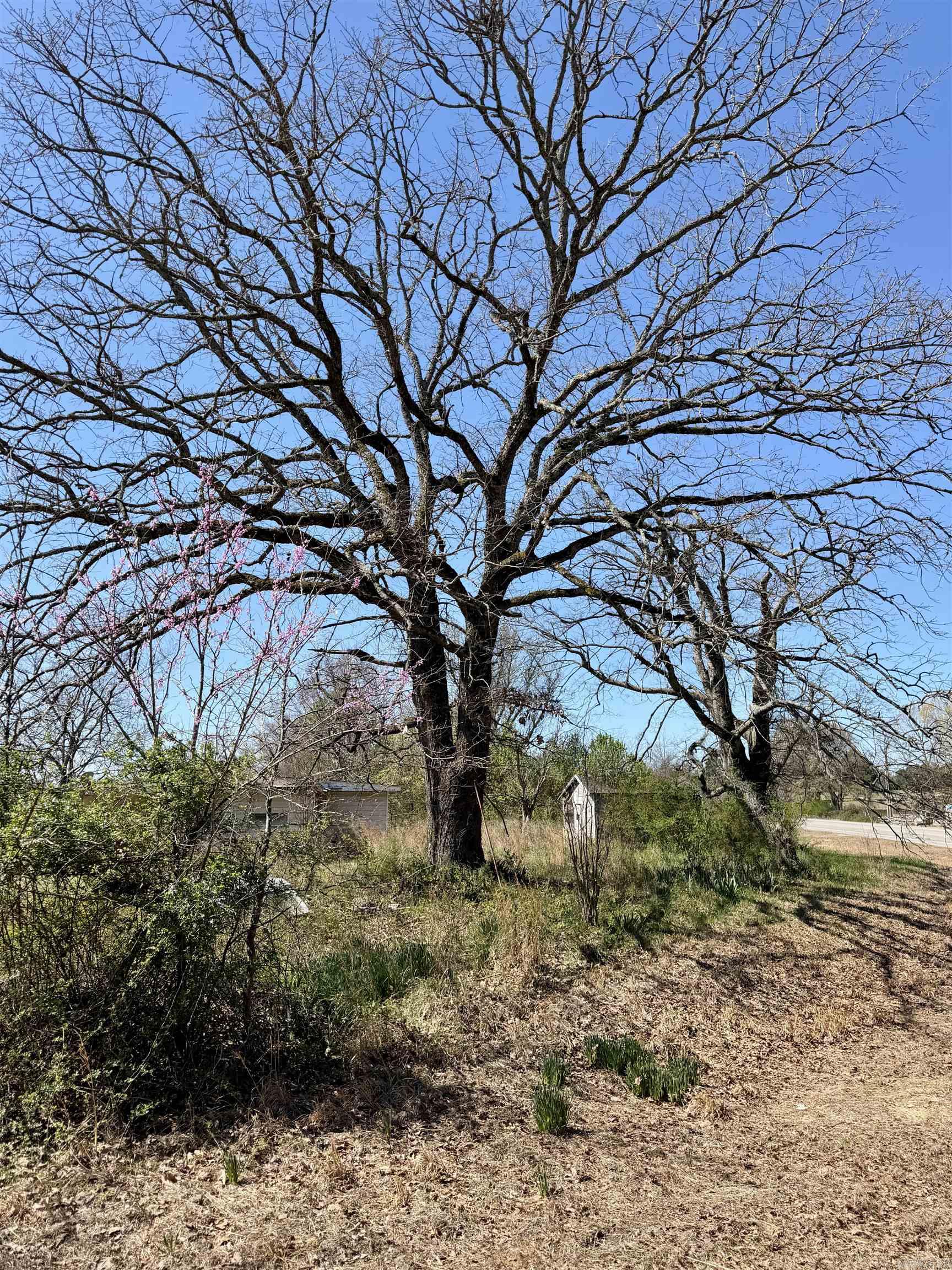 Metes & Bounds - Commercial Sale