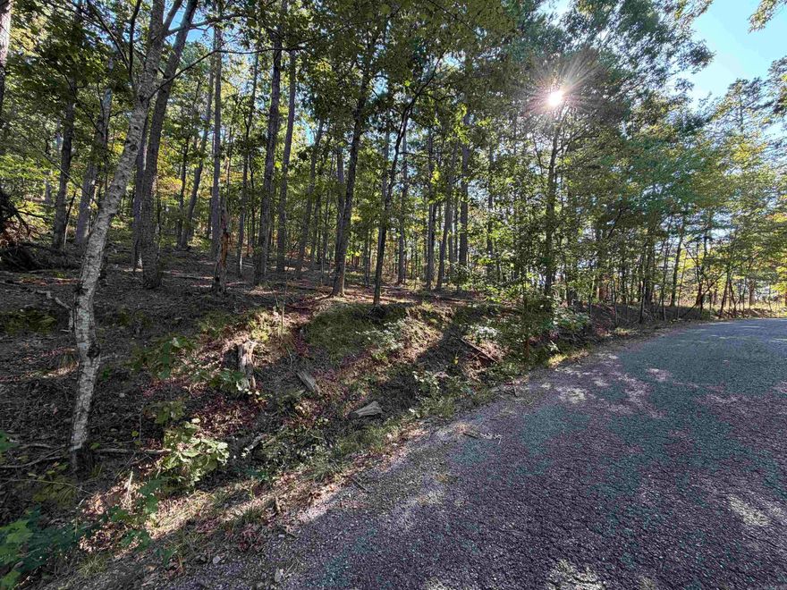 This is your opportunity to own a gorgeous wooded lot in the nation's largest gated community!
