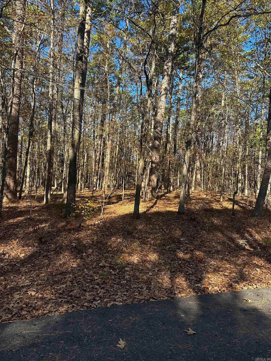 Build Your Dream Home Near Lake Pineda! This beautiful buildable lot offers the perfect opportunity to create your custom home in the serene setting of Hot Springs Village. Nestled in a peaceful neighborhood, the property is just a short distance from Lake Pineda, where you can enjoy fishing, kayaking, and scenic views.  The gently sloping lot is ideal for a variety of home designs, providing both privacy and natural beauty. Surrounded by mature trees and native Arkansas flora, this property offers a tranquil retreat while remaining close to all the amenities Hot Springs Village has to offer, including golf courses, hiking trails, and community centers.  Utilities are conveniently accessible, making the building process even easier. Whether you’re dreaming of a cozy cabin or a modern retreat, this lot is your blank canvas.  Don’t miss the chance to own a slice of paradise in the largest gated community in the U.S.! Call today to schedule a viewing or learn more about this incredible opportunity.