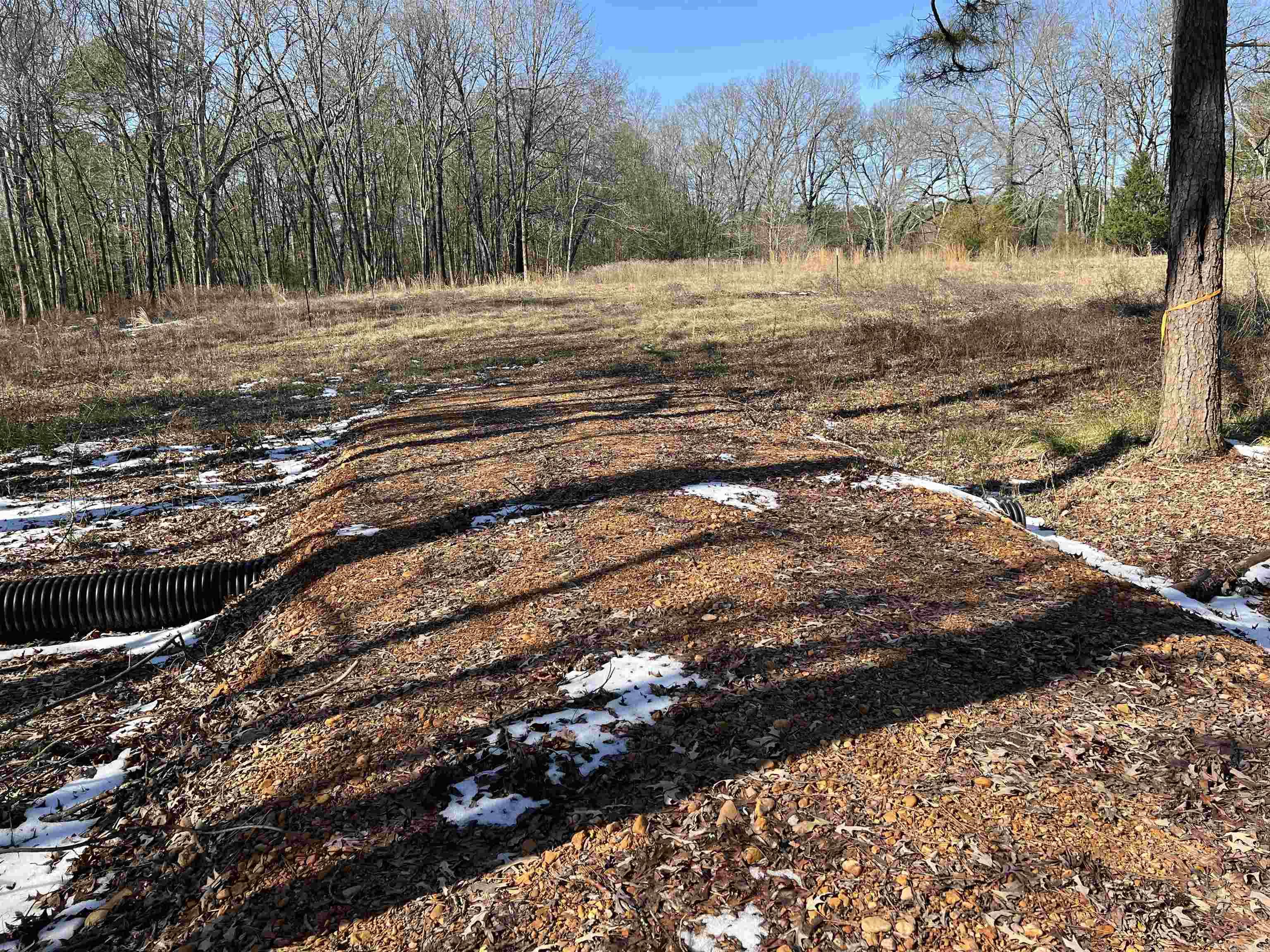 Metes & Bounds - Land