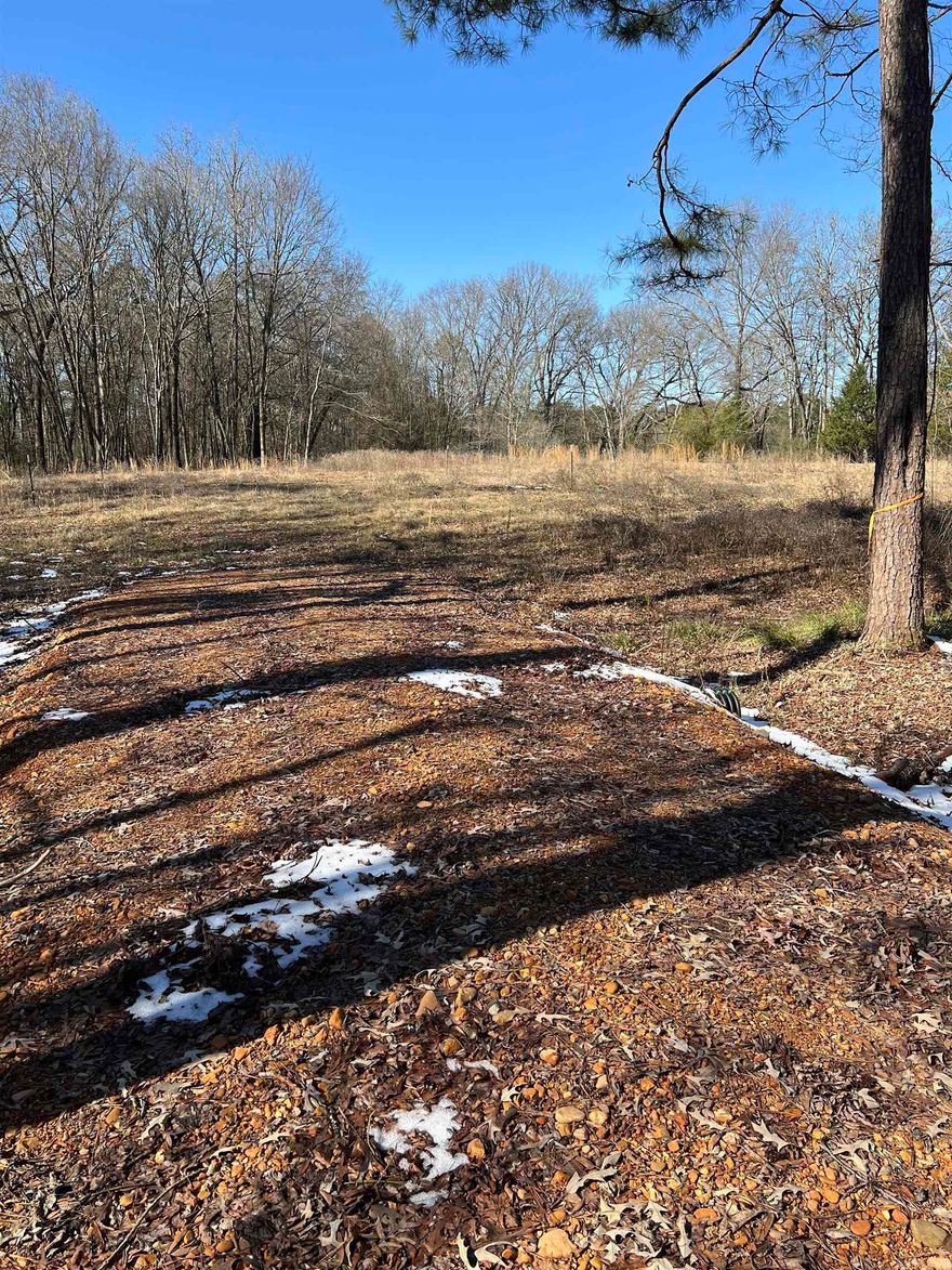 7.44 acres+/- with no restrictions ready to build or maybe put your mobile home etc. Nice road leading to the back of the property where they originally going to build their new home. There is a survey on the property.