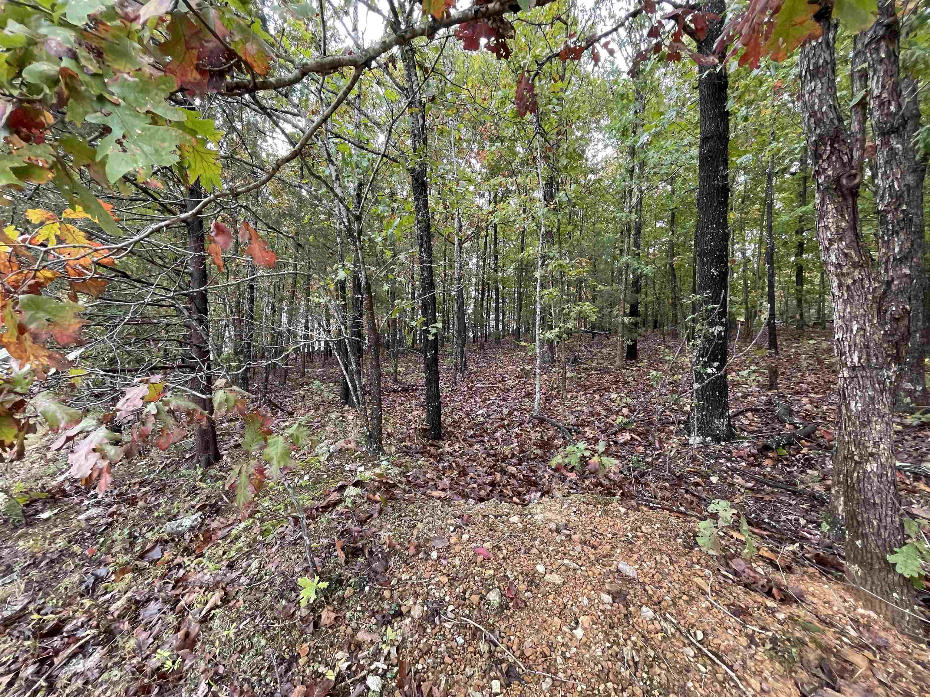 Metes & Bounds - Land