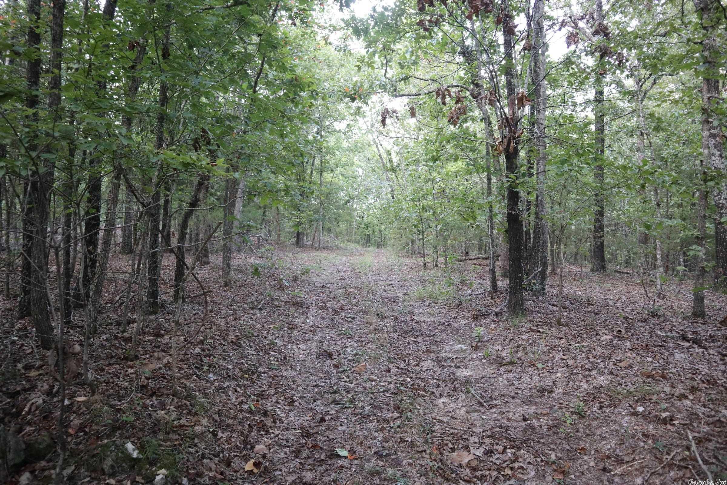 Metes & Bounds - Land