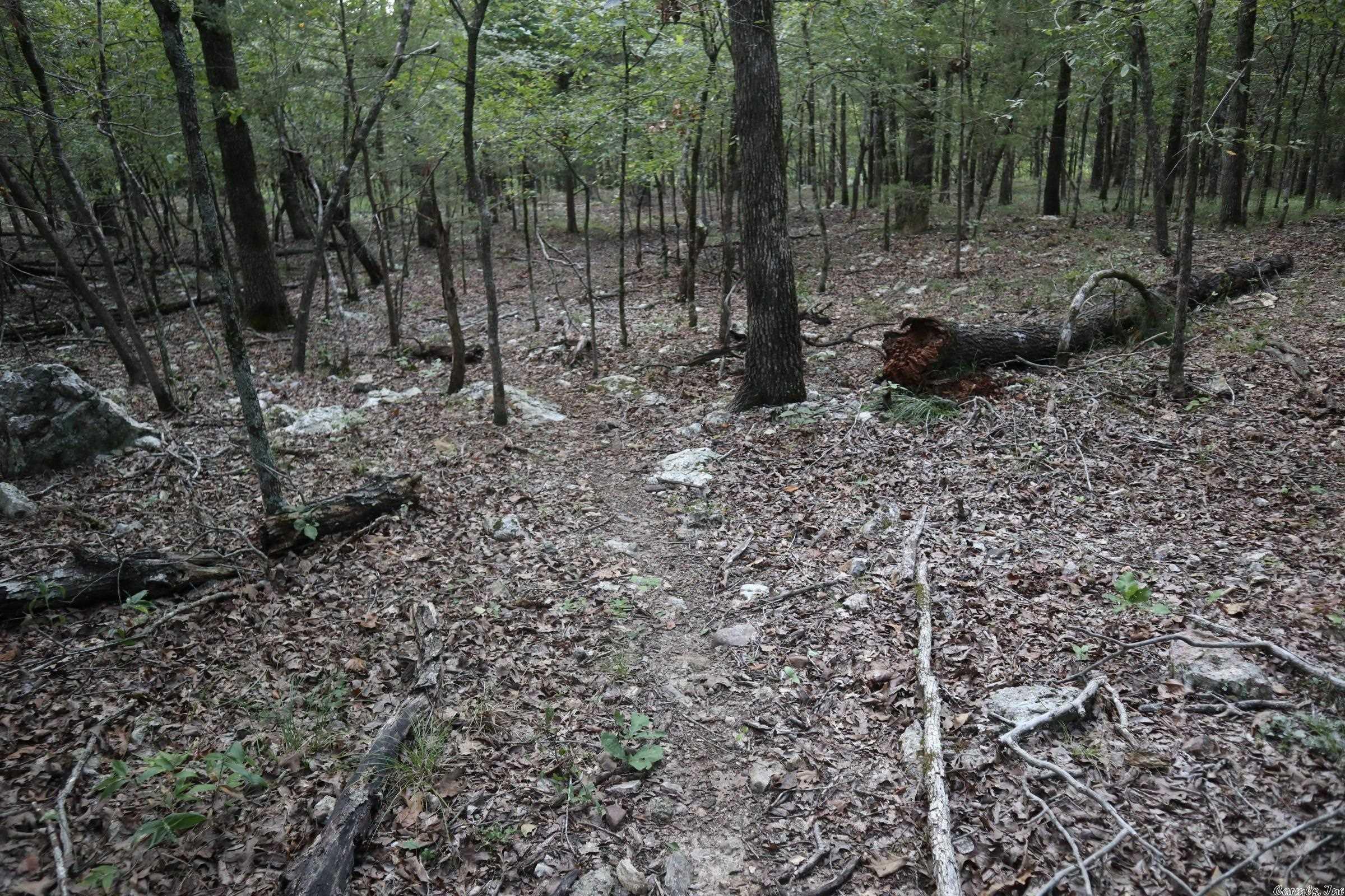 Metes & Bounds - Land