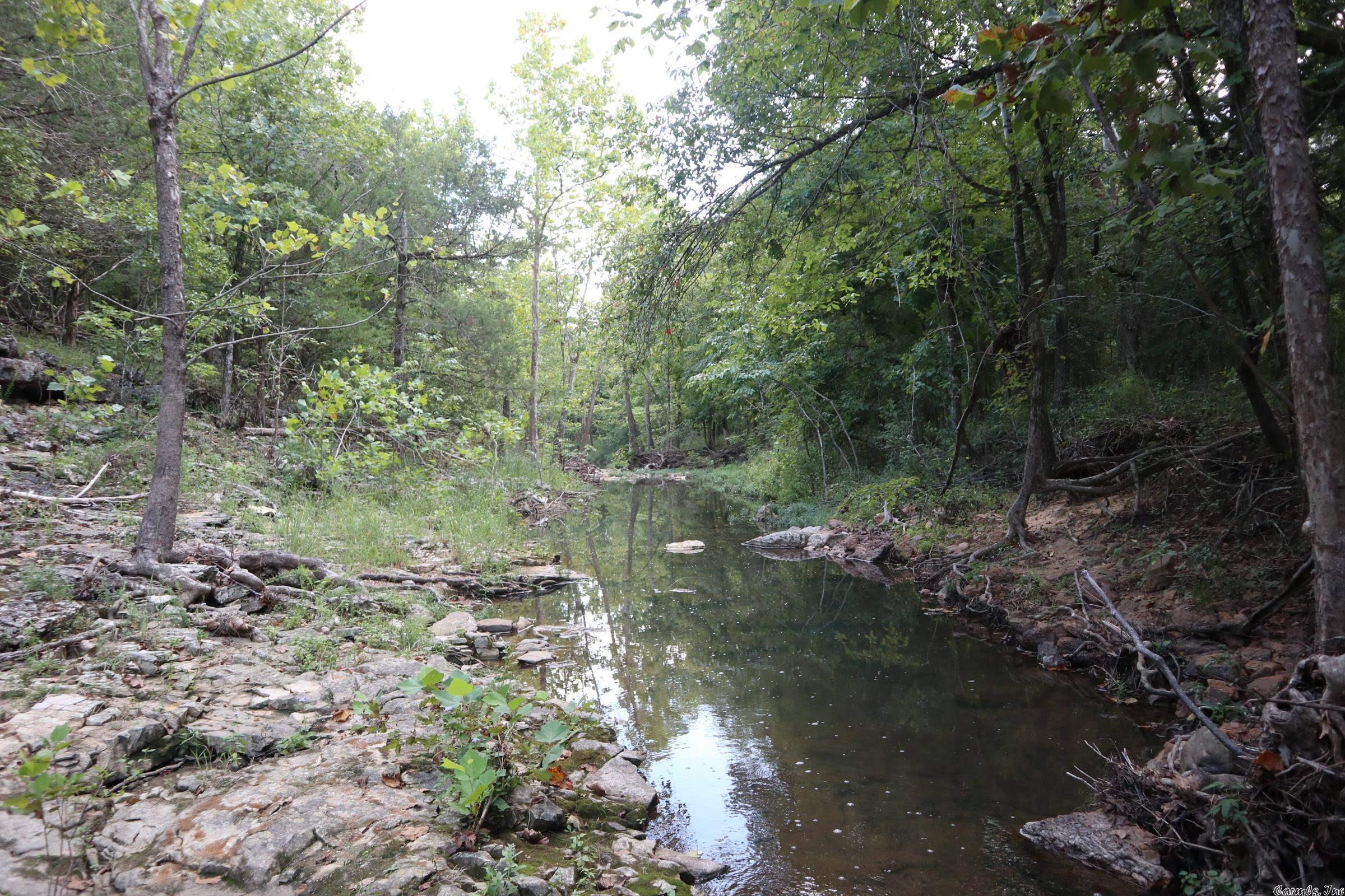 OZARKS WOODED ACREAGE WITH CREEK FRONTAGE FOR SALE.Ā 21 ACRES - $109,000. This beautiful mostly wooded tract has creek frontage with several building sites for your new dream home or cabin. The creek is noted for being a year around creek. There are several limestone rock formations along the creek. It has approximately 2 acres of open pasture and a pond.Ā The timber is mainly oaks, hickory and cedar. It has an abundance of wildlife including deer and turkey. It is located about 1.5 miles off of Hwy. 62-412