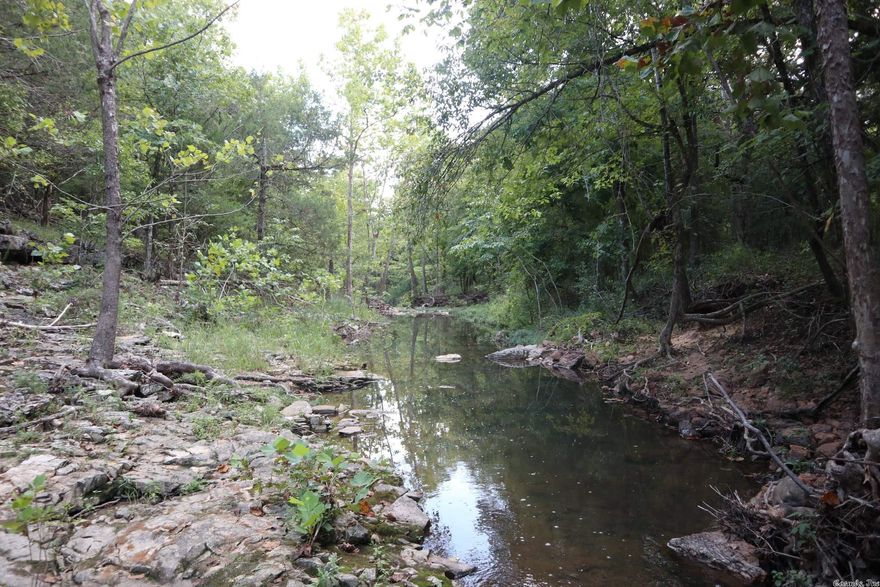 OZARKS WOODED ACREAGE WITH CREEK FRONTAGE FOR SALE.  21 ACRES - $109,000. This beautiful mostly wooded tract has creek frontage with several building sites for your new dream home or cabin. The creek is noted for being a year around creek. There are several limestone rock formations along the creek. It has approximately 2 acres of open pasture and a pond. The timber is mainly oaks, hickory and cedar. It has an abundance of wildlife including deer and turkey. It is located about 1.5 miles off of Hwy. 62-412