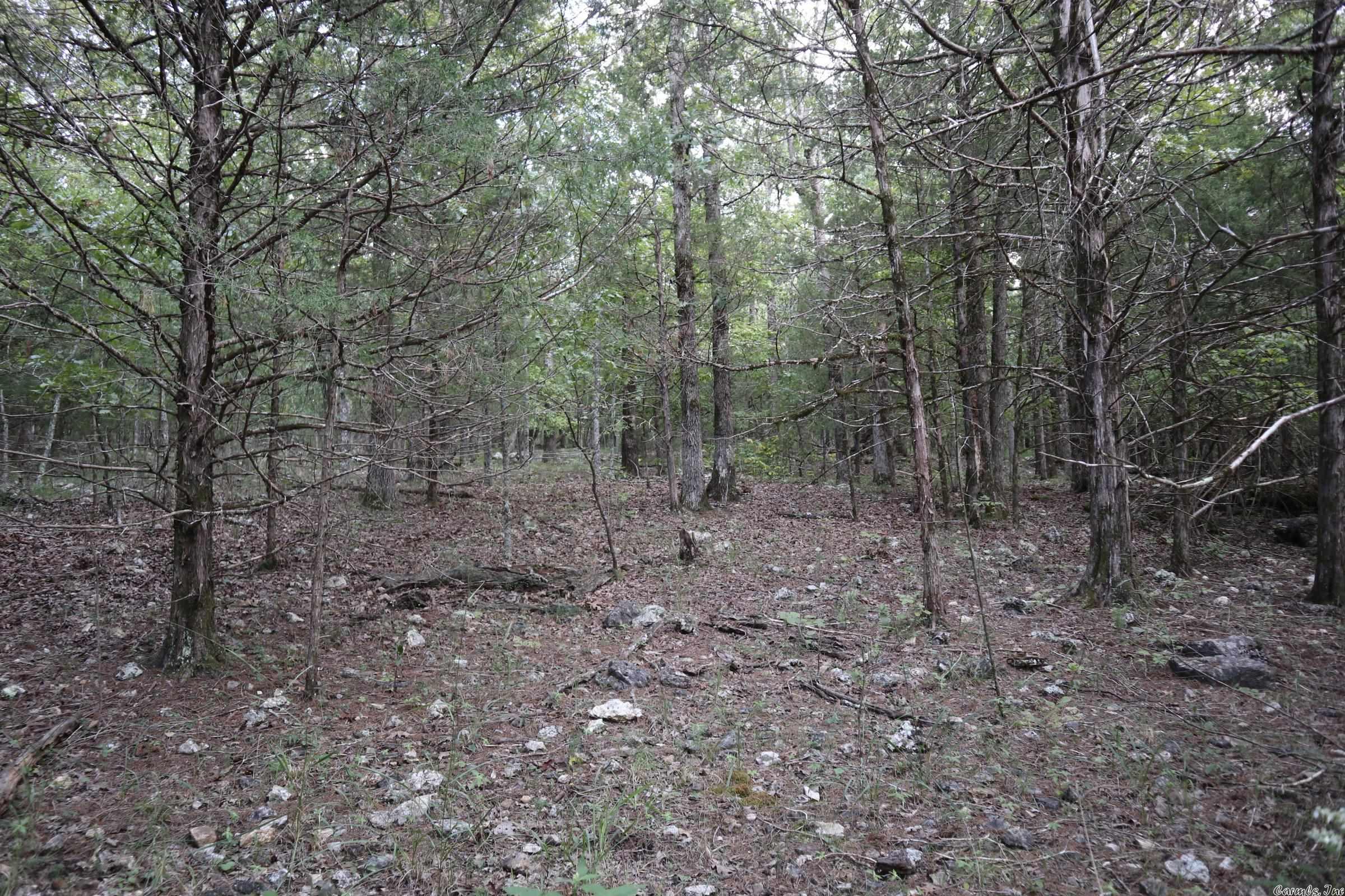 Metes & Bounds - Land