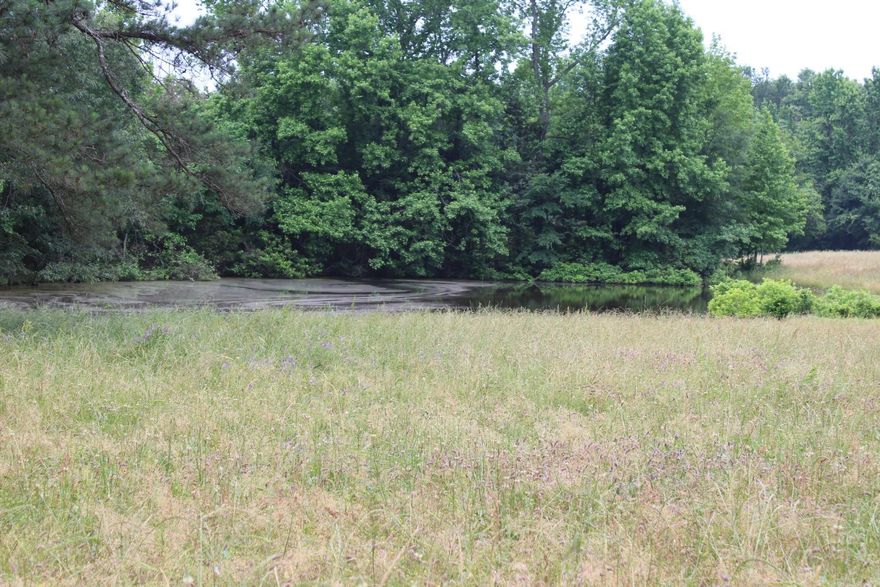 45 acres of pastureland located on Hwy. 355 approx. 8 miles west of Nashville.  Property has a pond.