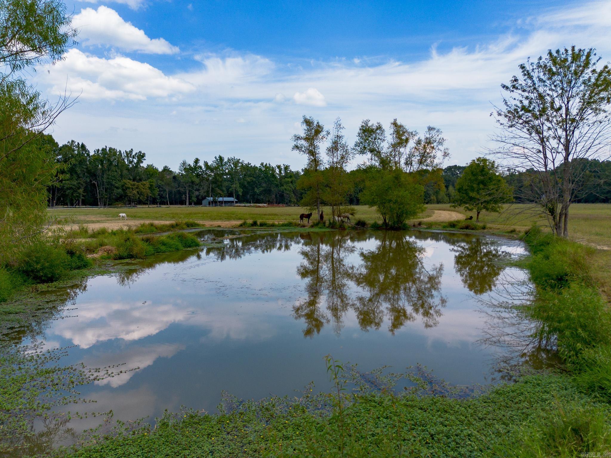 Metes & Bounds - Farm