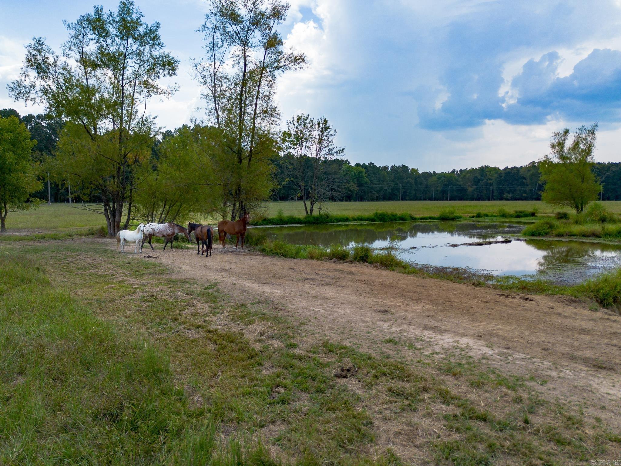 Metes & Bounds - Farm