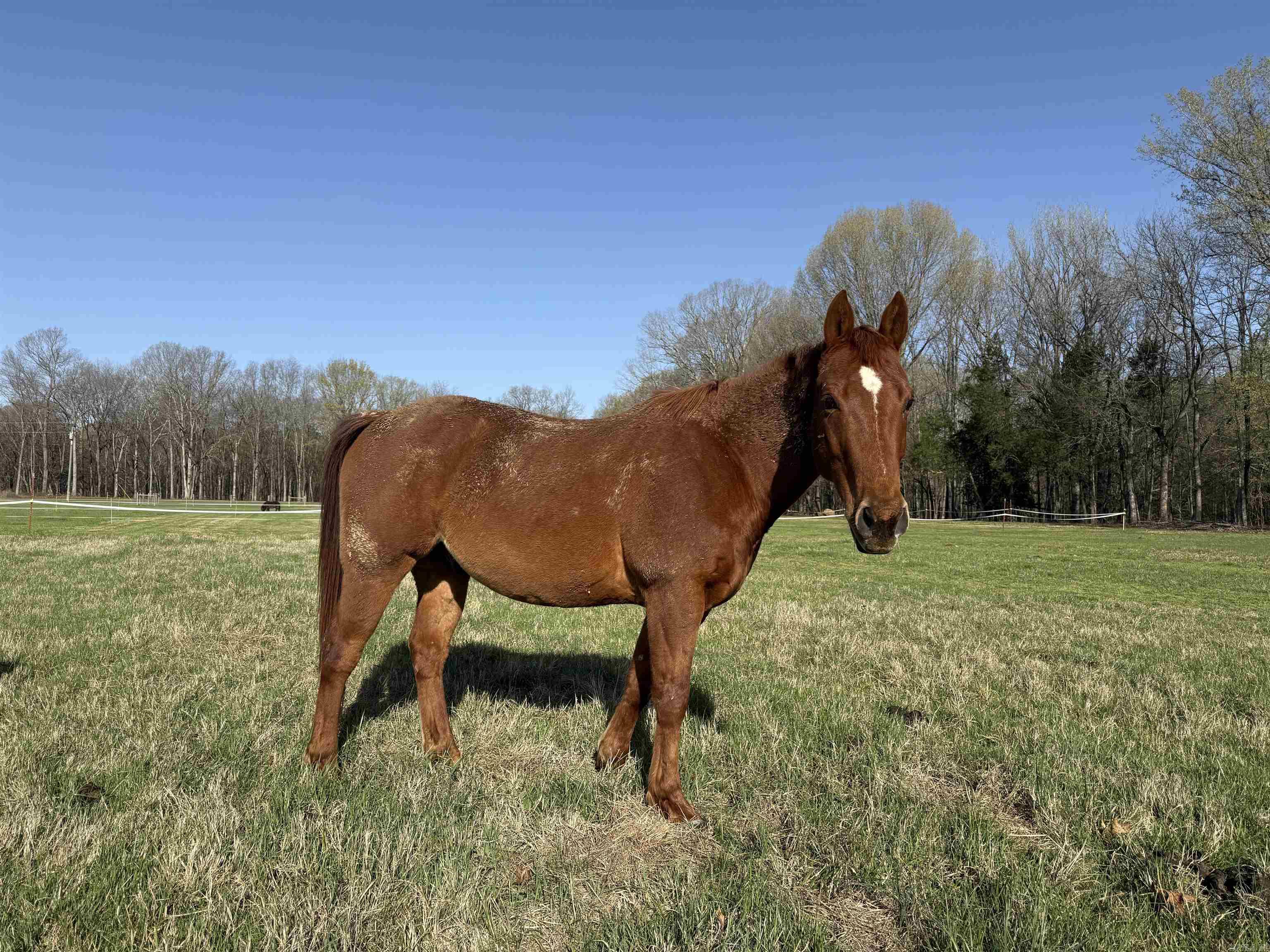 Metes & Bounds - Farm