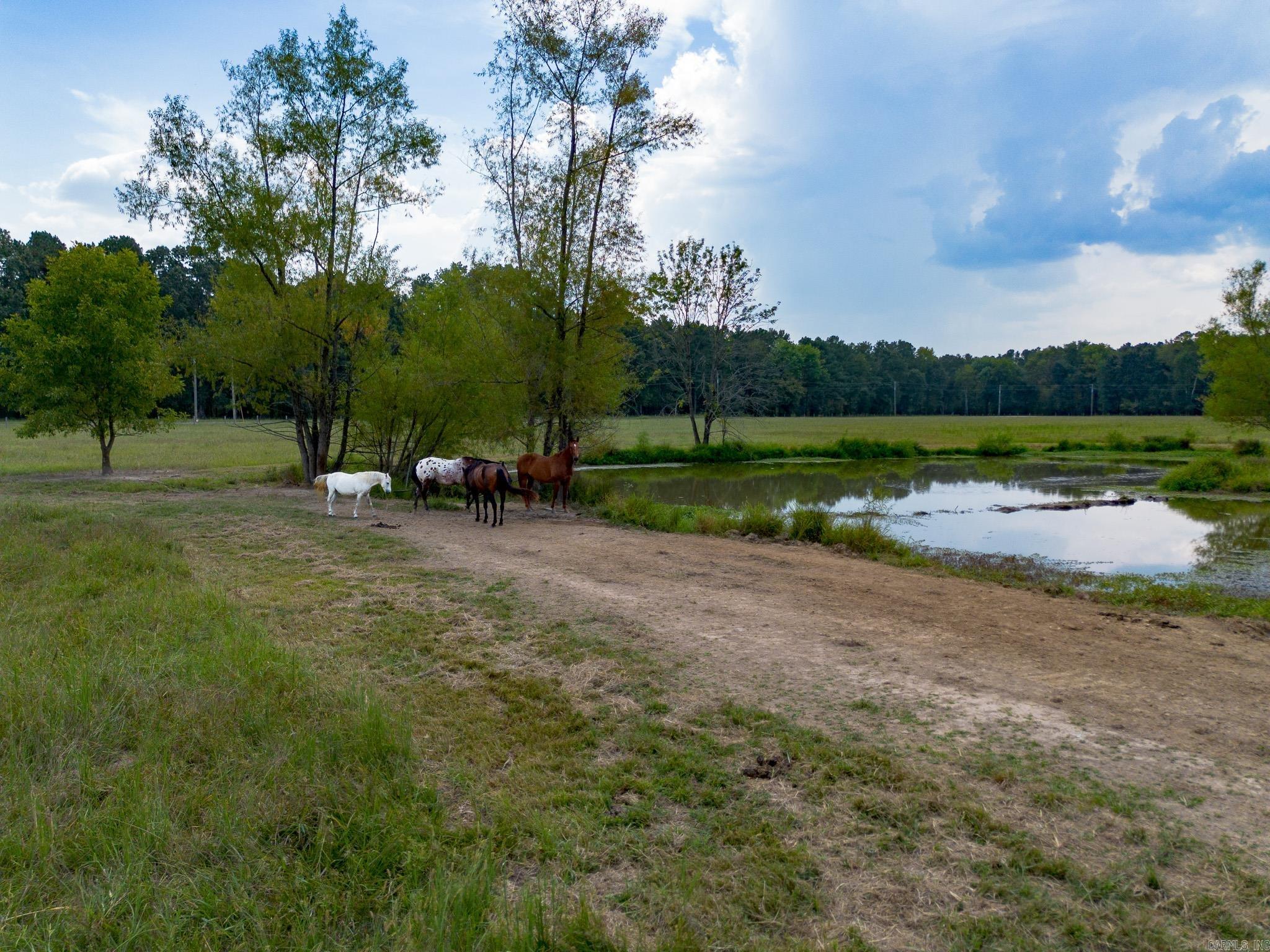 Metes & Bounds - Farm