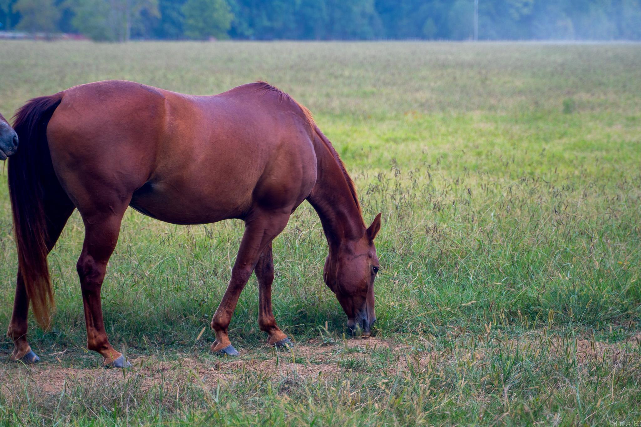 Metes & Bounds - Farm