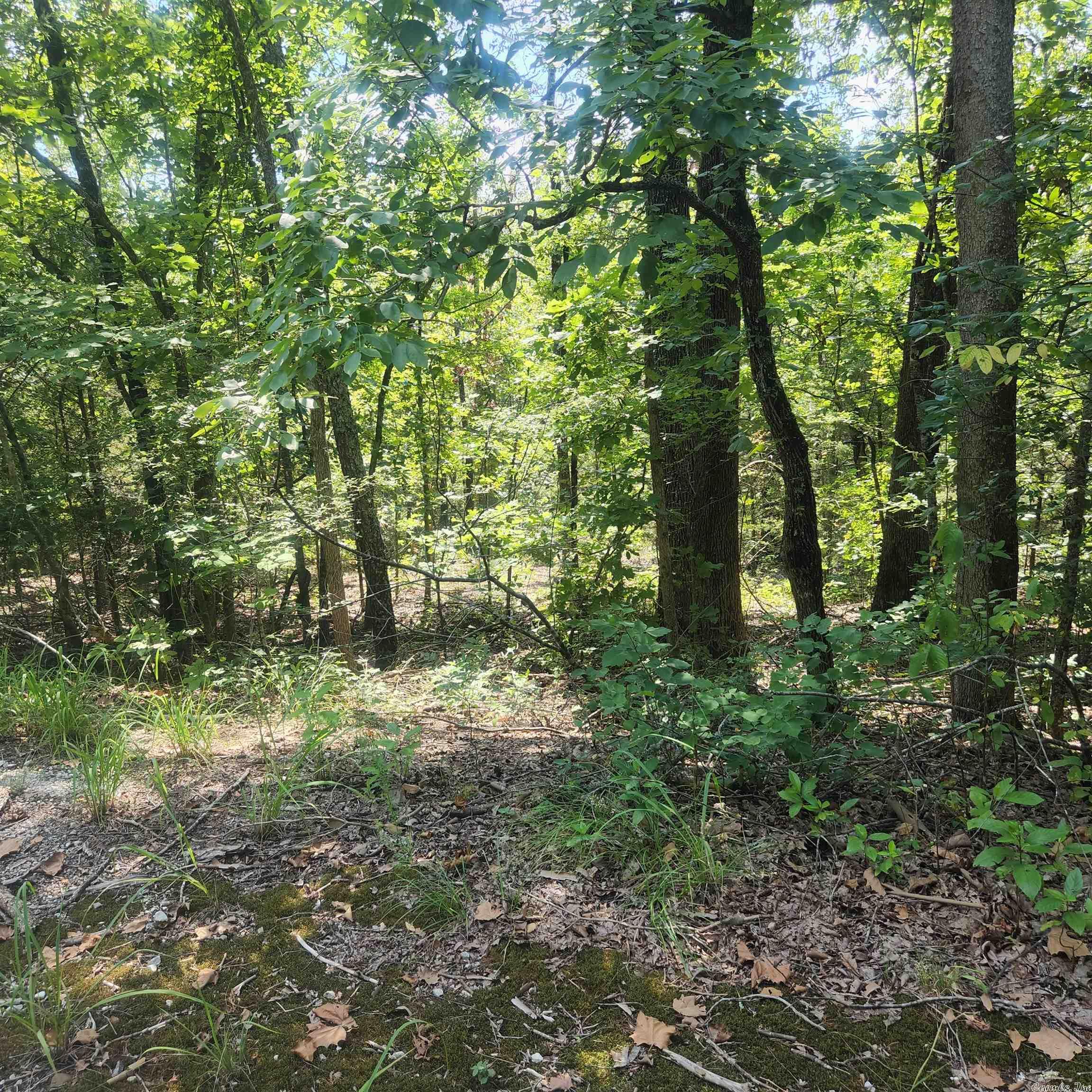 Great piece of secluded property for your vacation home or cabin. Land is sloping down from front to back. Could be an awesome view of the wet weather creek and valley. Nice and secluded. So lots of trees and wildlife in this area. Ownership of these lots comes with all of Cherokee Village amenities. 7 Lakes, 2 Golf courses and the beautiful Southfork River is 3/4 of a mile away as the crow flies. Come see these lots and pick out the spot where you want to build your forever home In Cherokee Village.