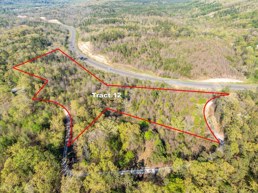 Two parcels totaling 8.01 acres overlooking the new MLK Expy/Hwy 5 Bypass. Great location for hillside AirBNB cabins.