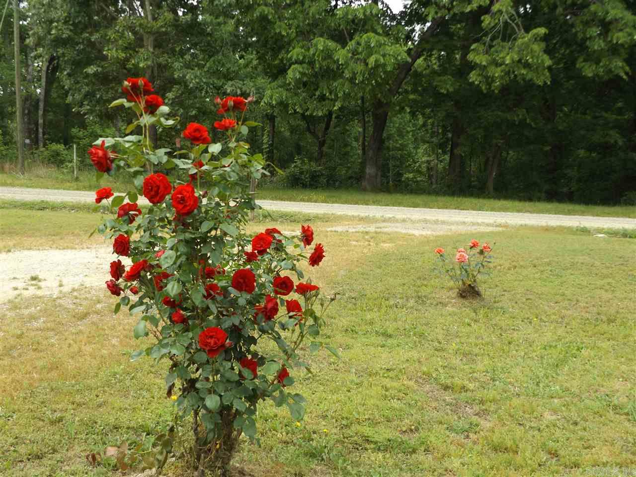 River Pines - Residential