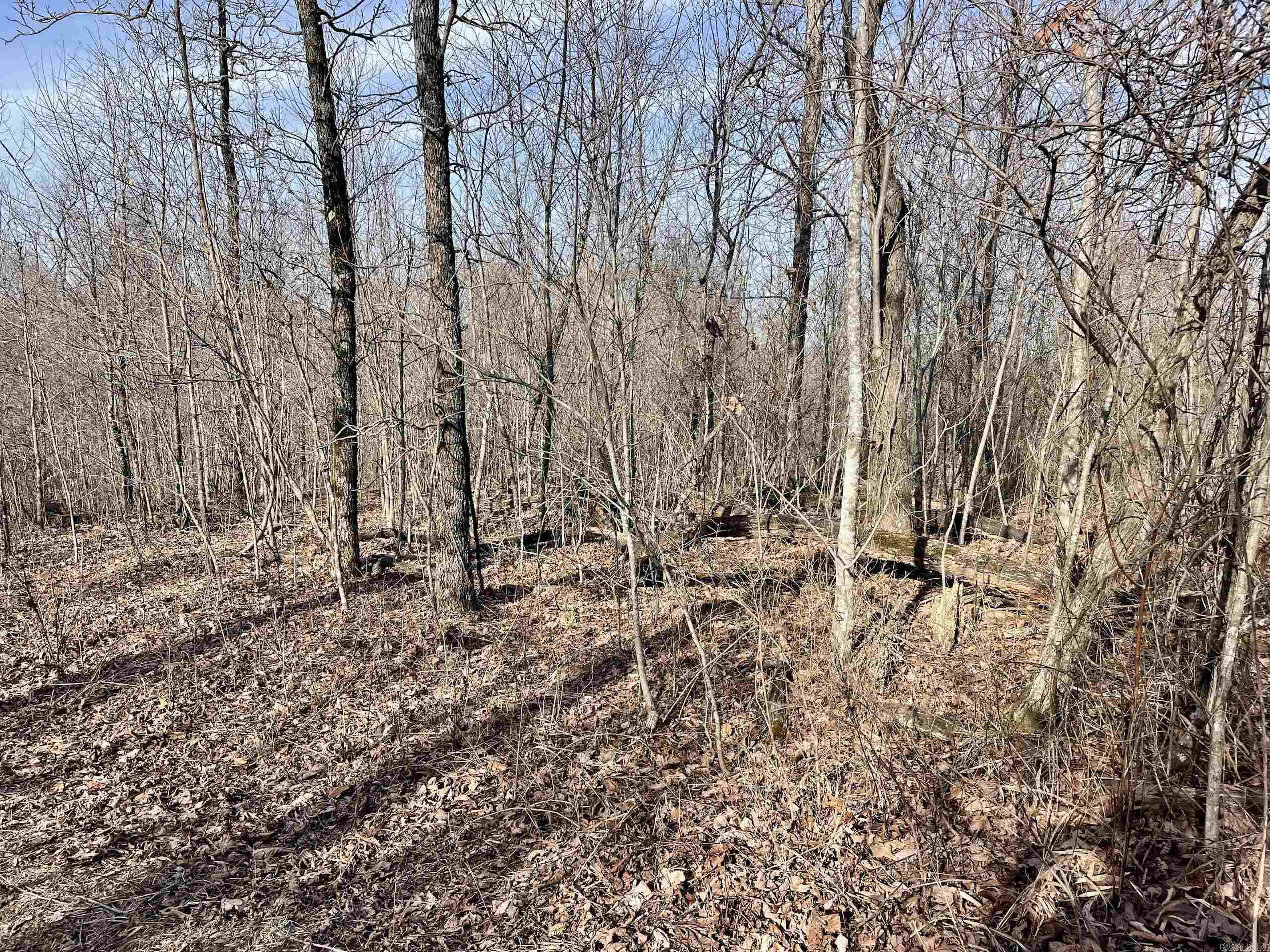 Not in Subdivision - Land