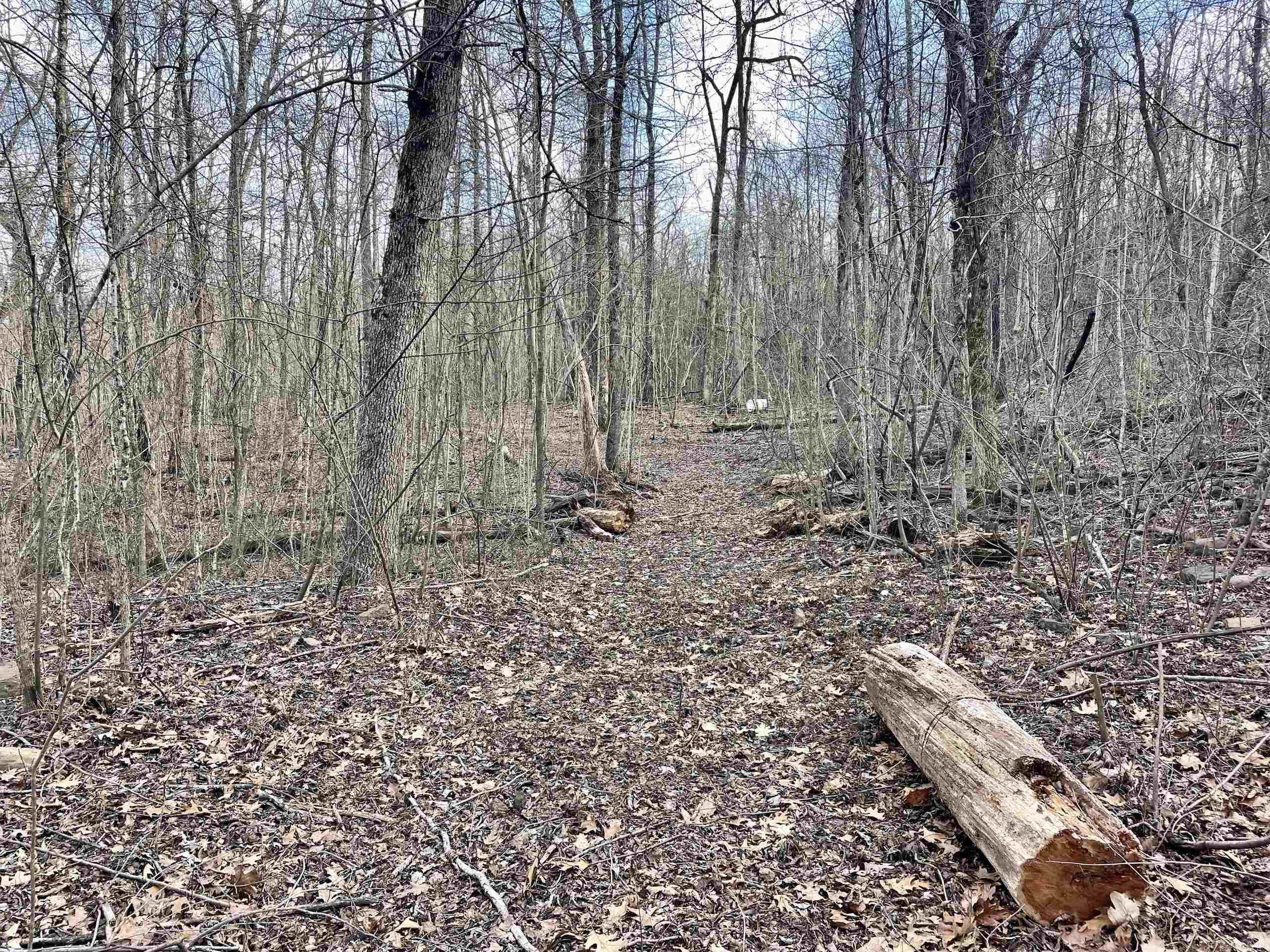 Not in Subdivision - Land
