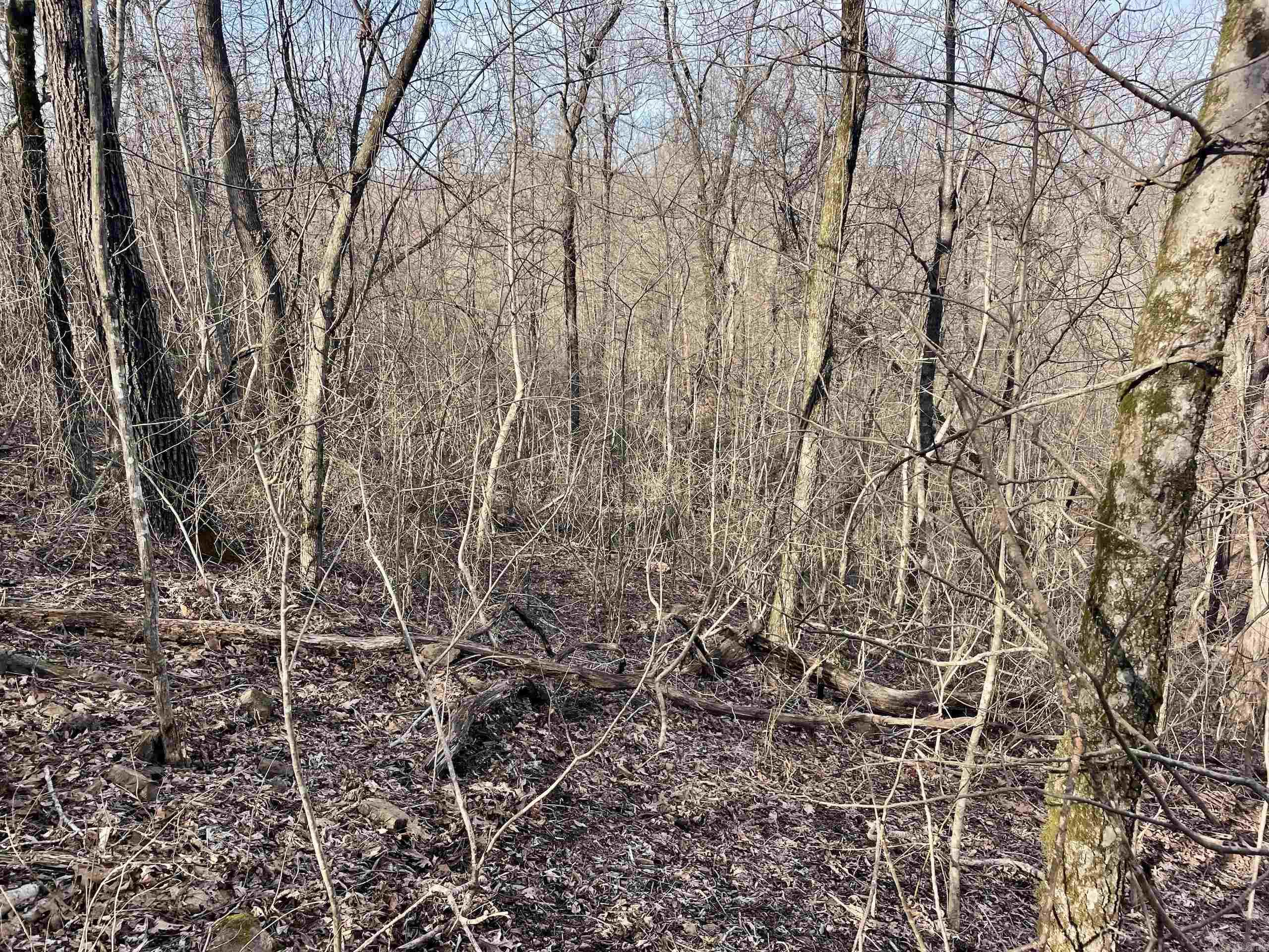Not in Subdivision - Land