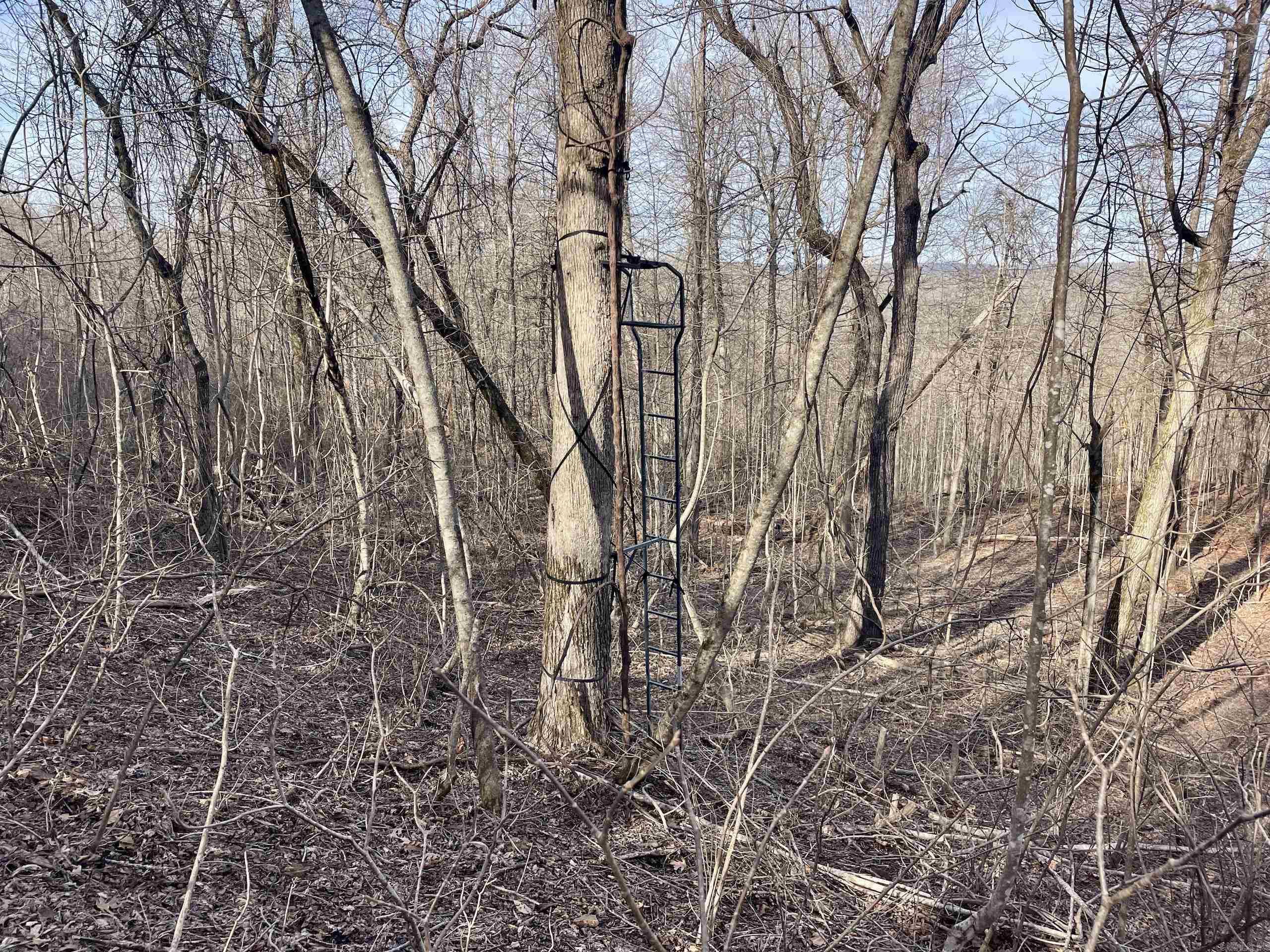 Not in Subdivision - Land