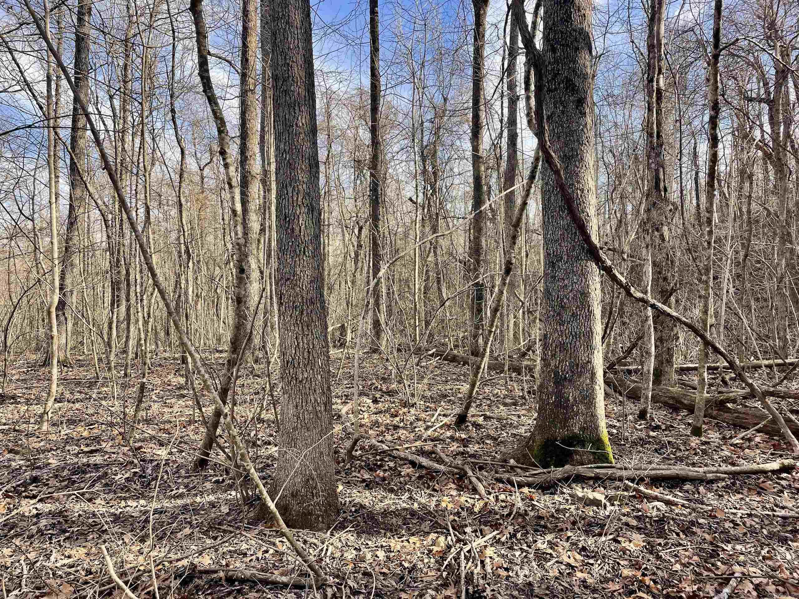 Not in Subdivision - Land
