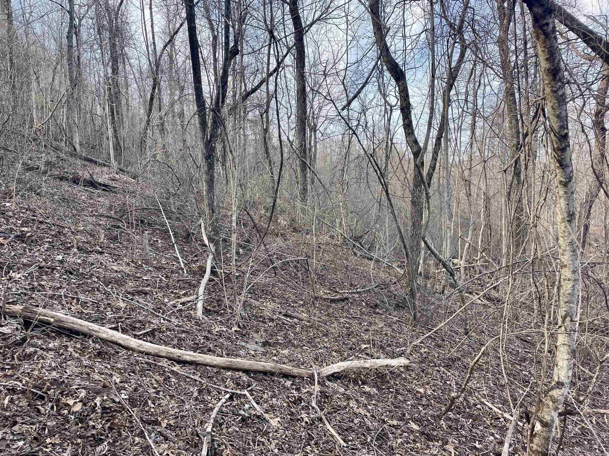 Not in Subdivision - Land